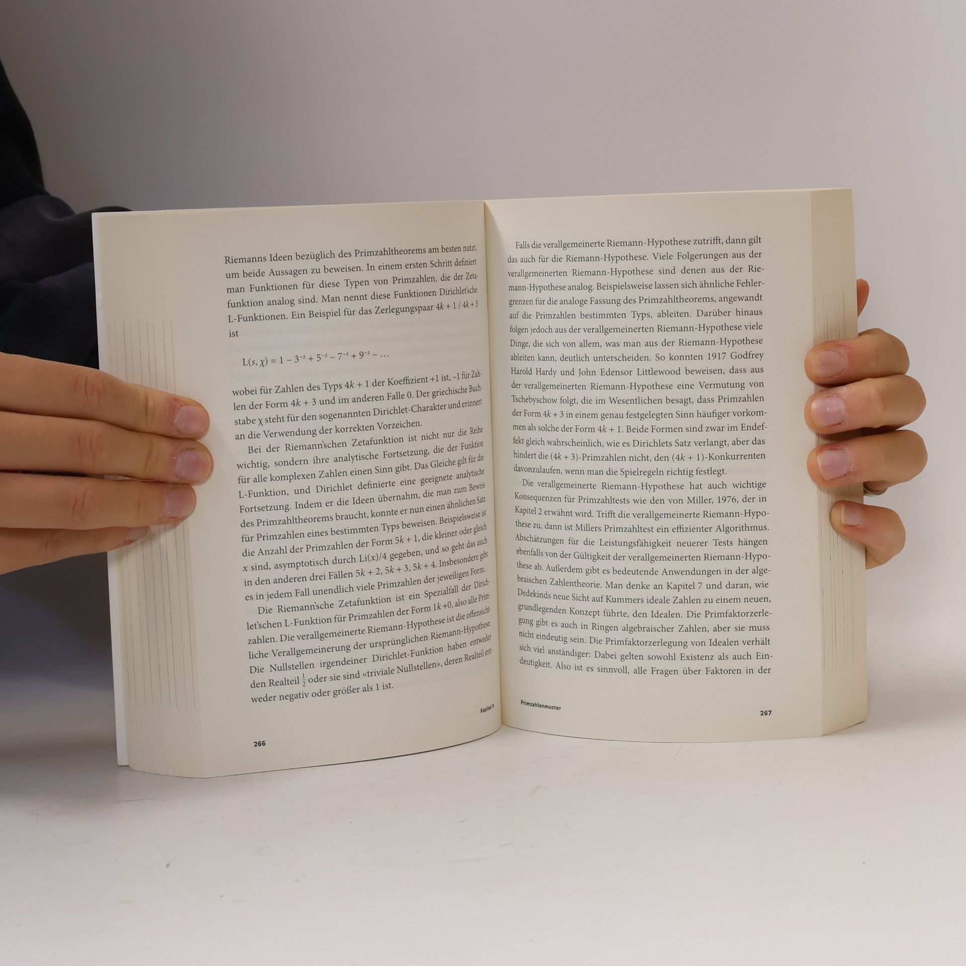 Ian Stewart Die letzten Rätsel der Mathematik