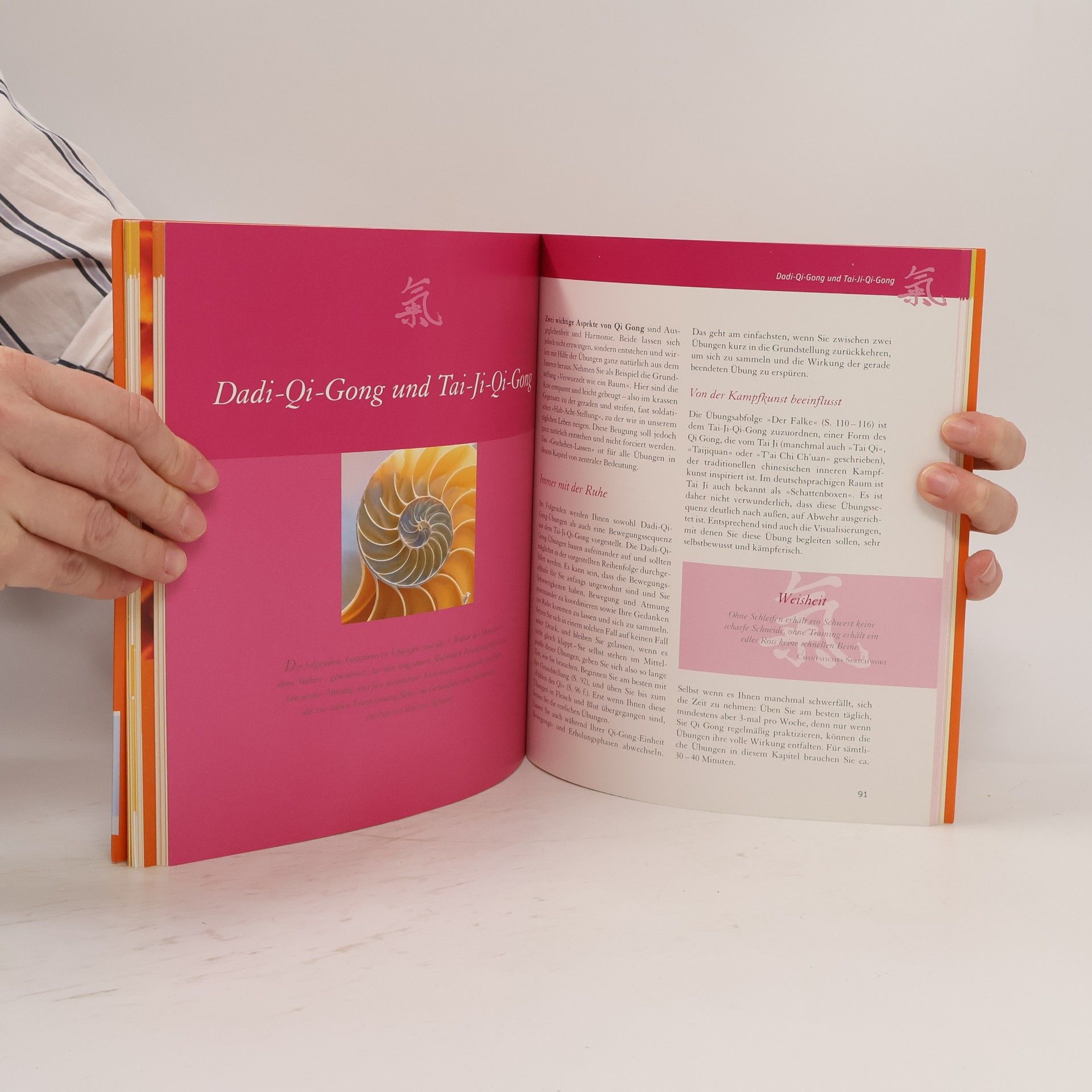 Das große Qi-Gong-Basisbuch