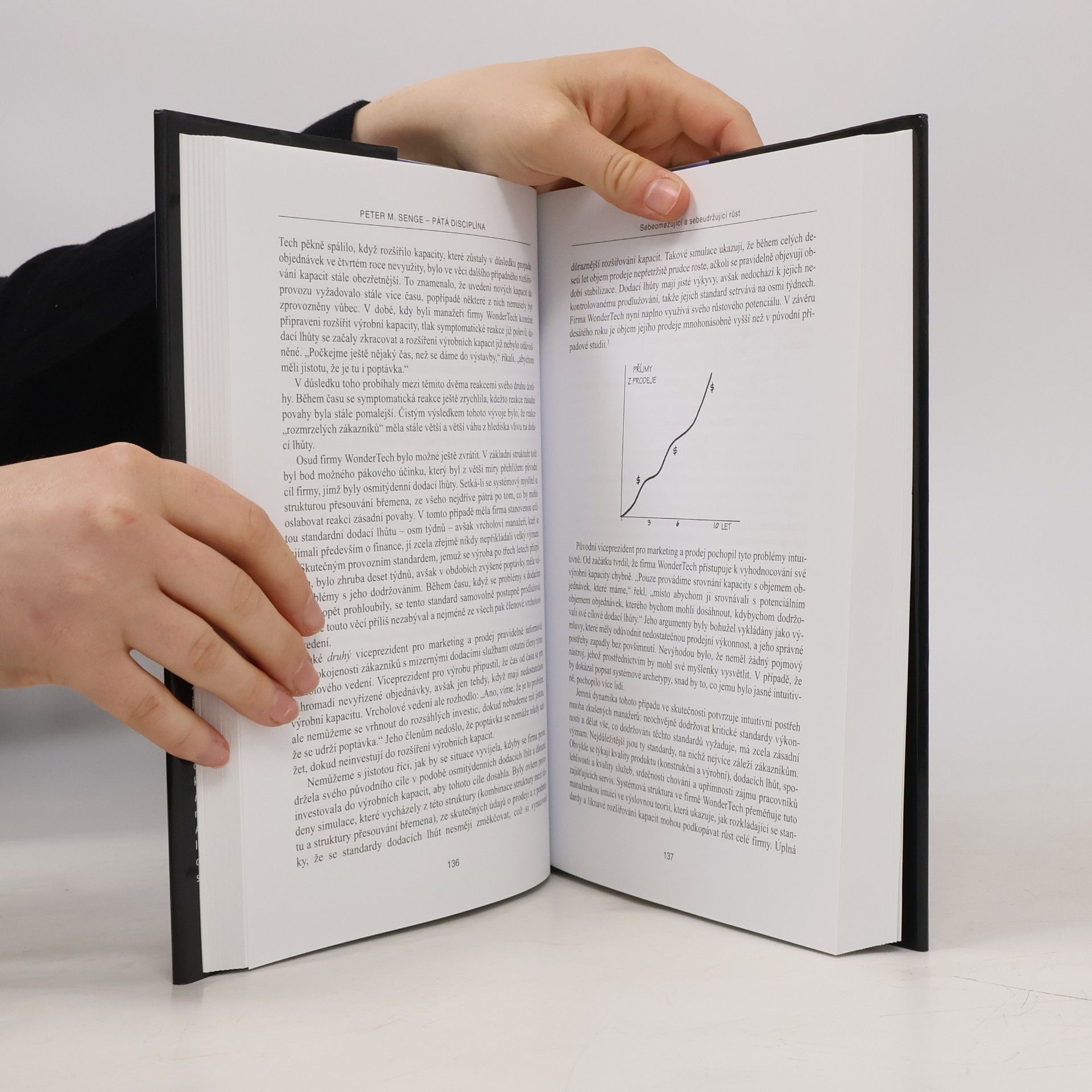 Peter M. Senge Pátá disciplína