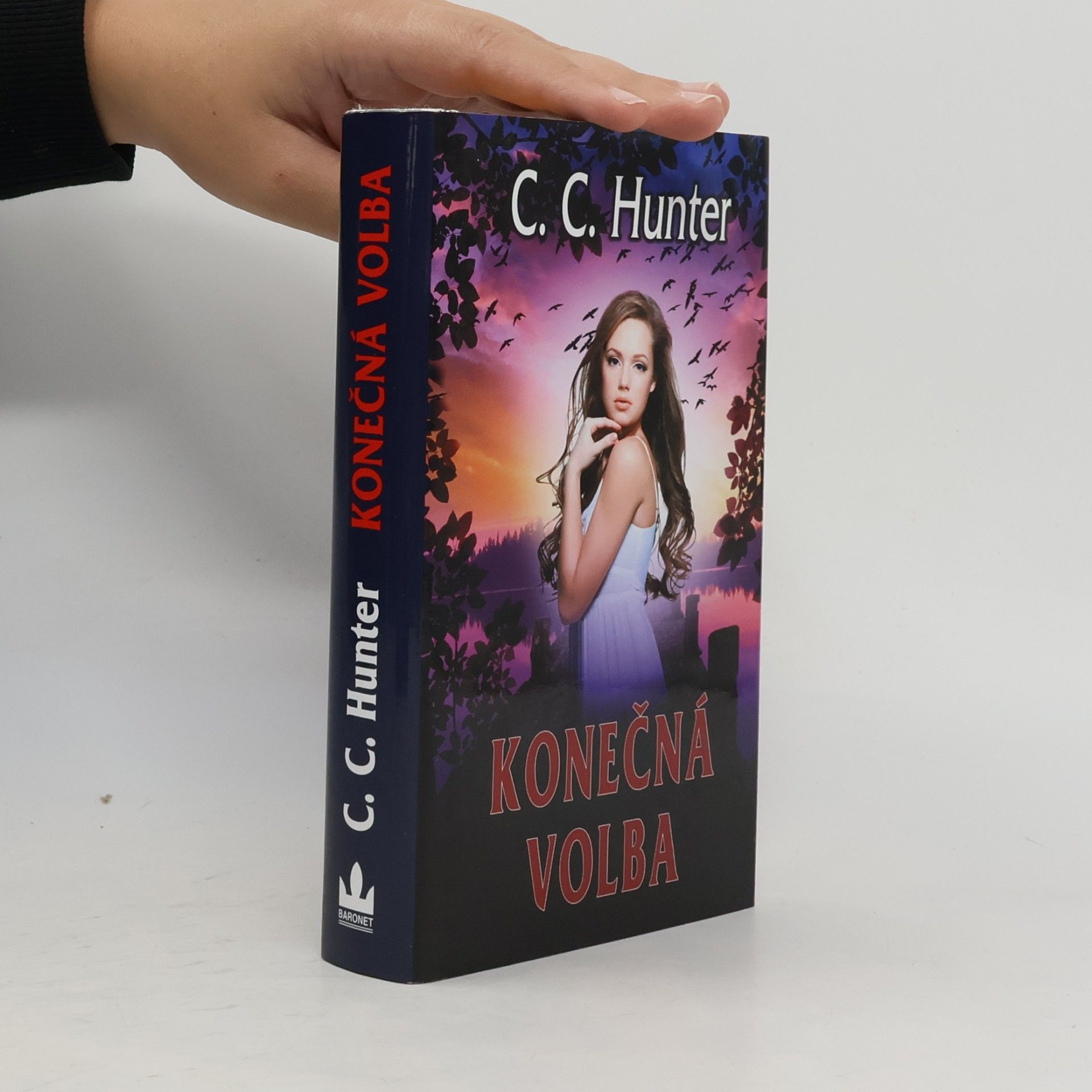 Konečná volba : pátá kniha z cyklu Údolí stínů