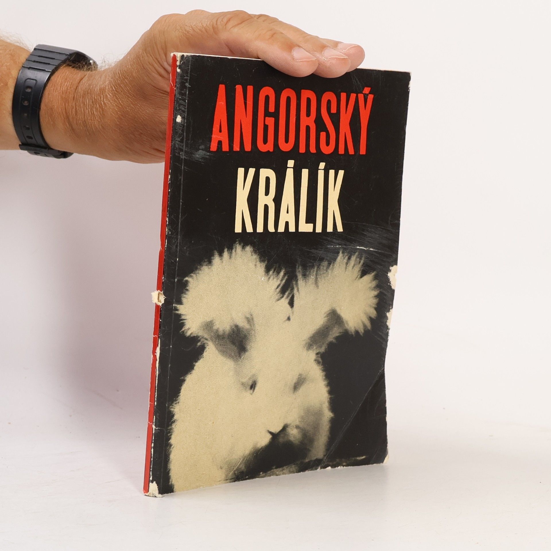Various authors Angorský králík