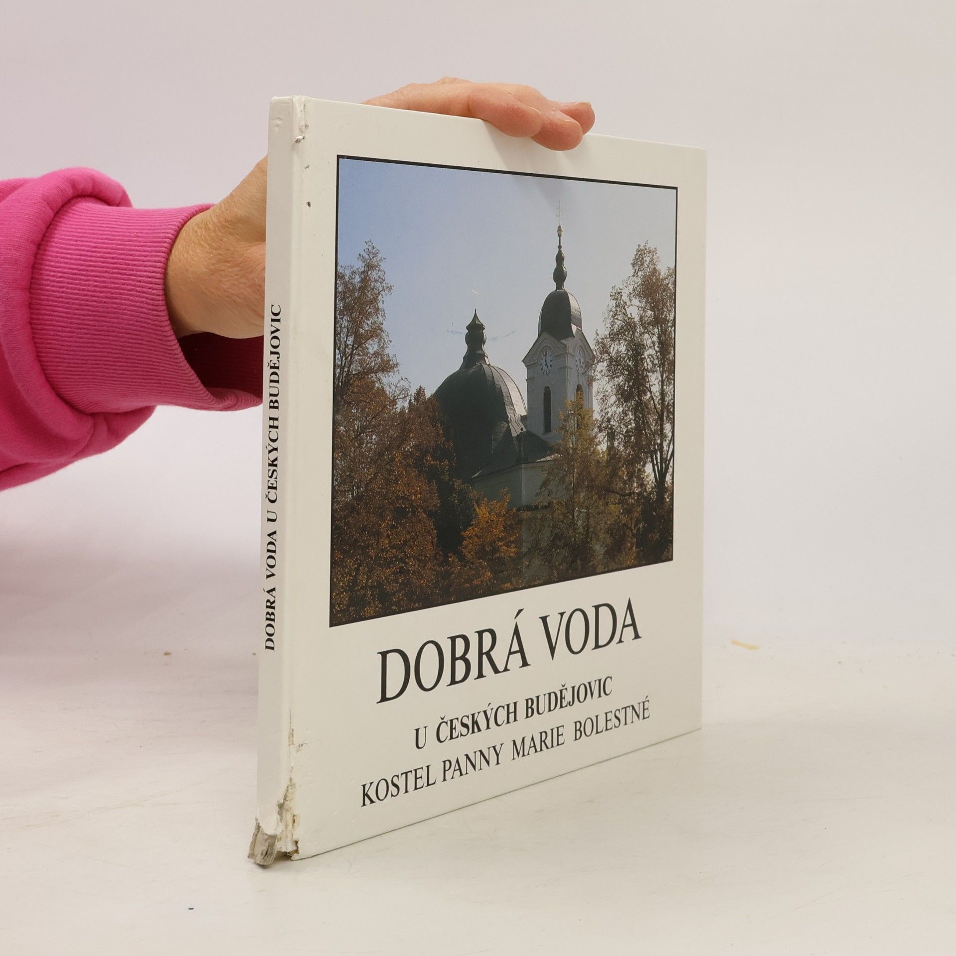 Vít Honys Dobrá Voda u Českých Budějovic