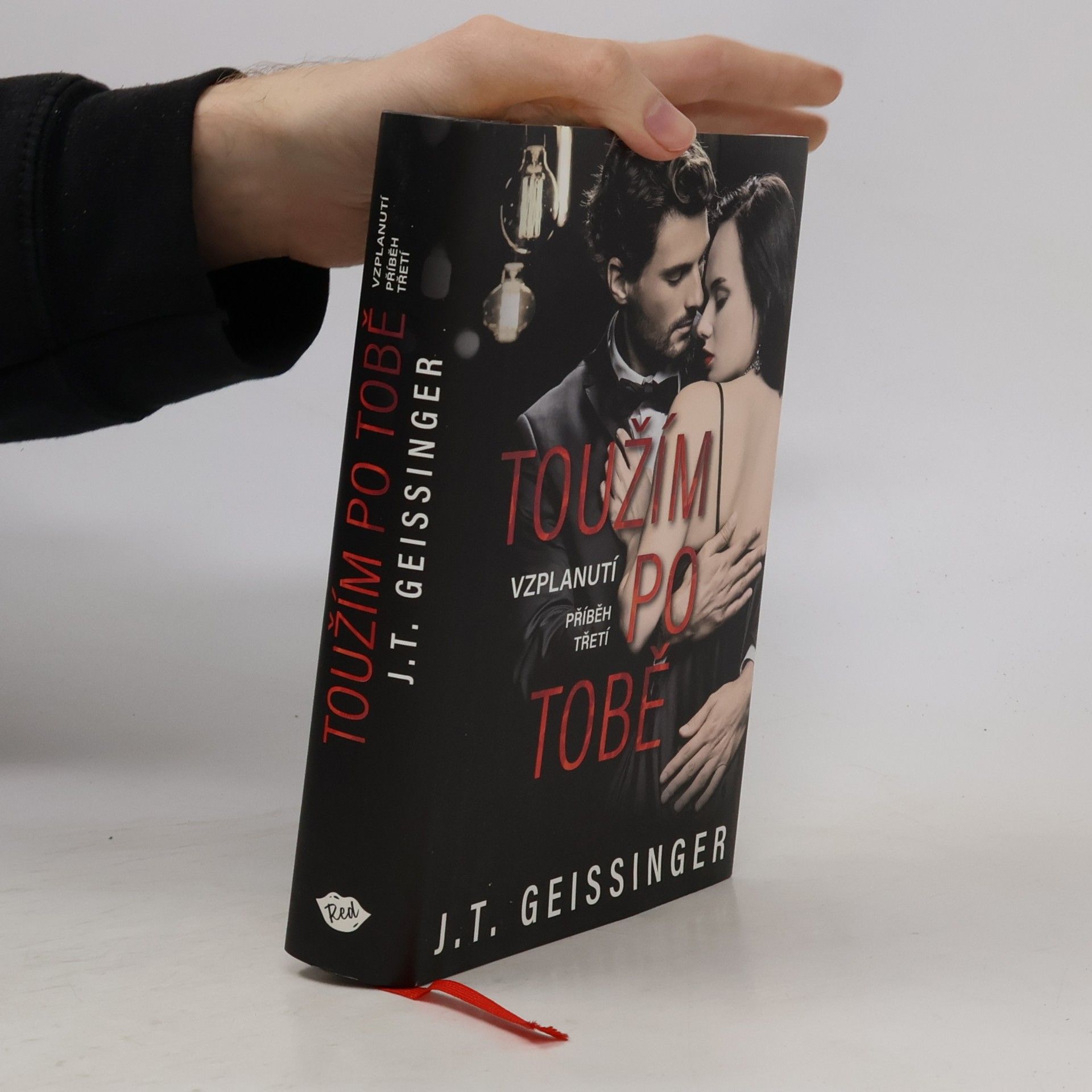 J. T. Geissinger Toužím po tobě