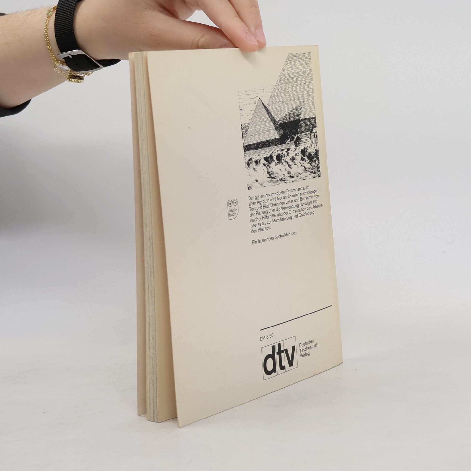 David Macaulay Wo die Pyramiden stehen