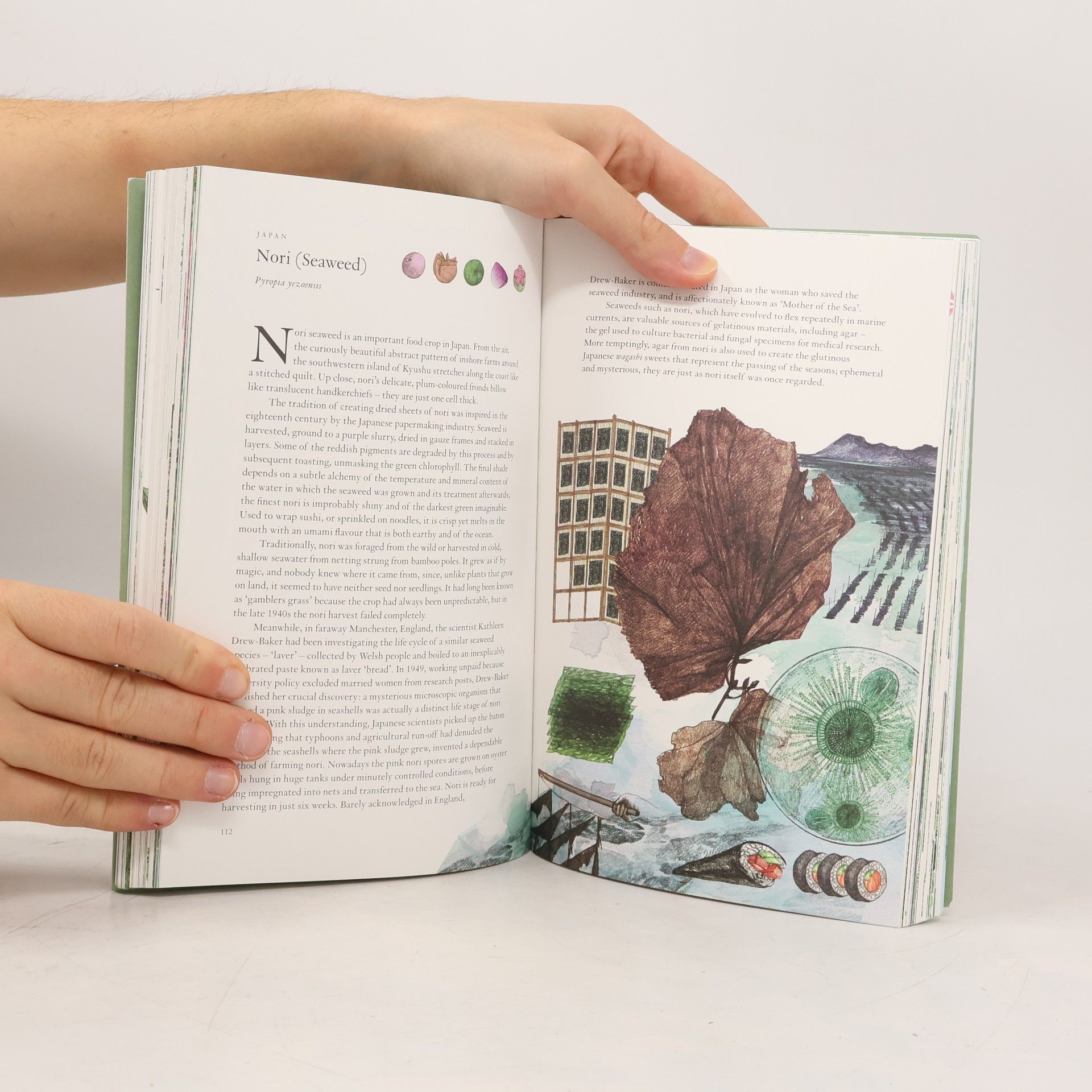 Jonathan Drori Around the World in 80 Plants