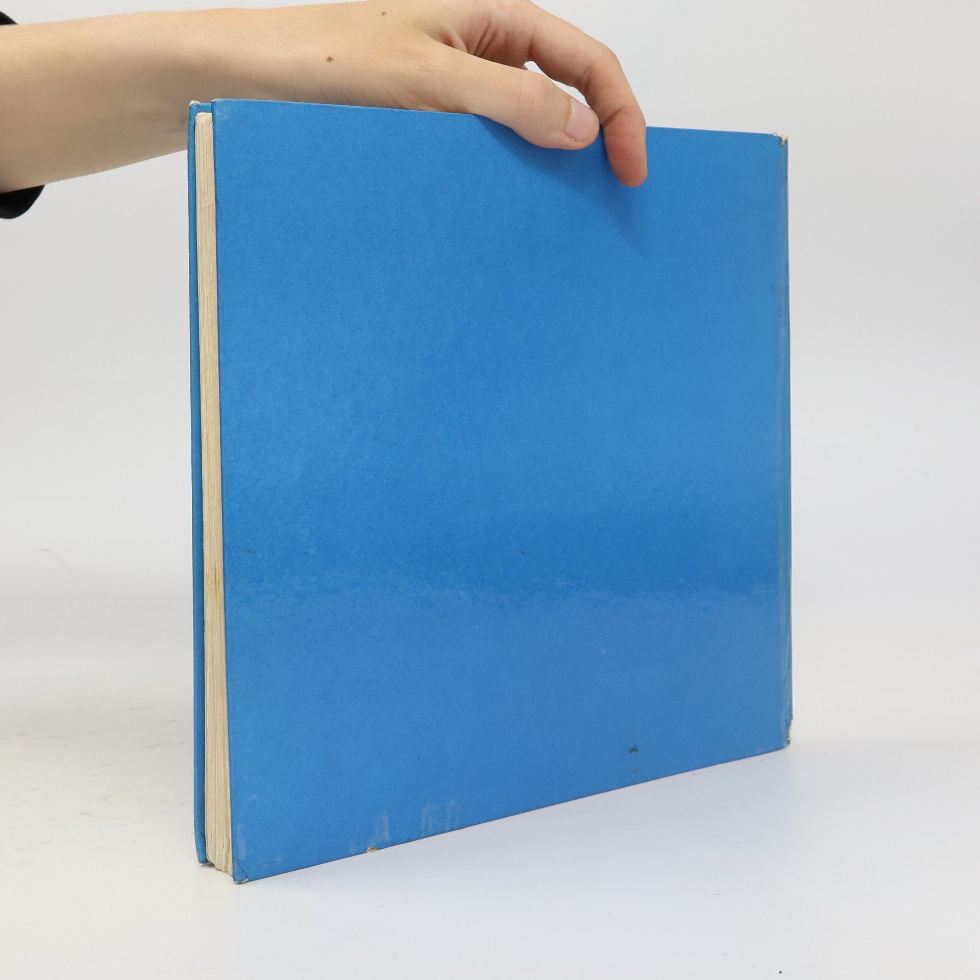 Helene Weilen Mein Wichtel-Buch