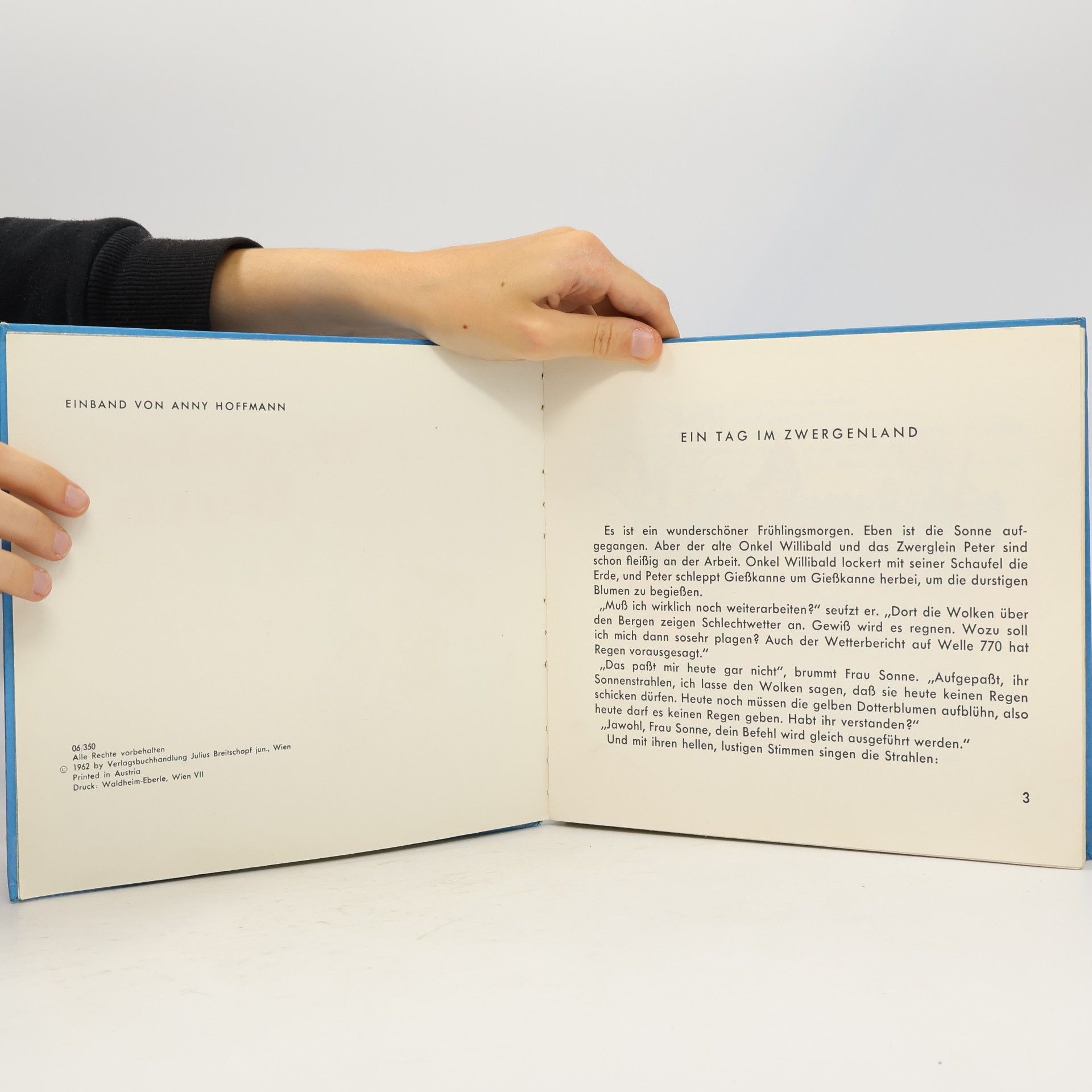 Helene Weilen Mein Wichtel-Buch