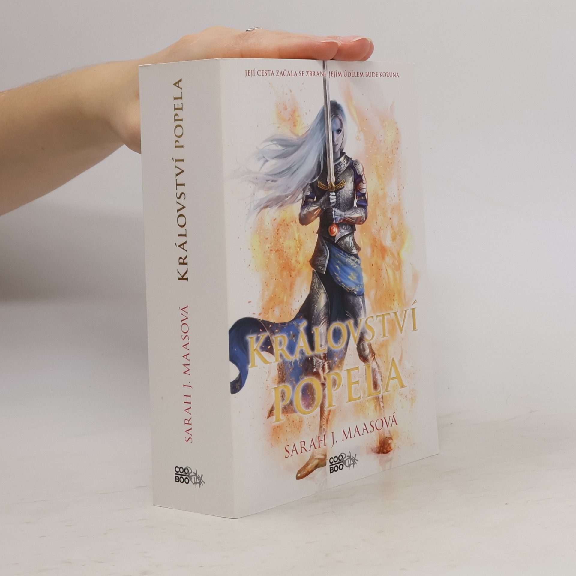 Sarah J. Maas Království popela