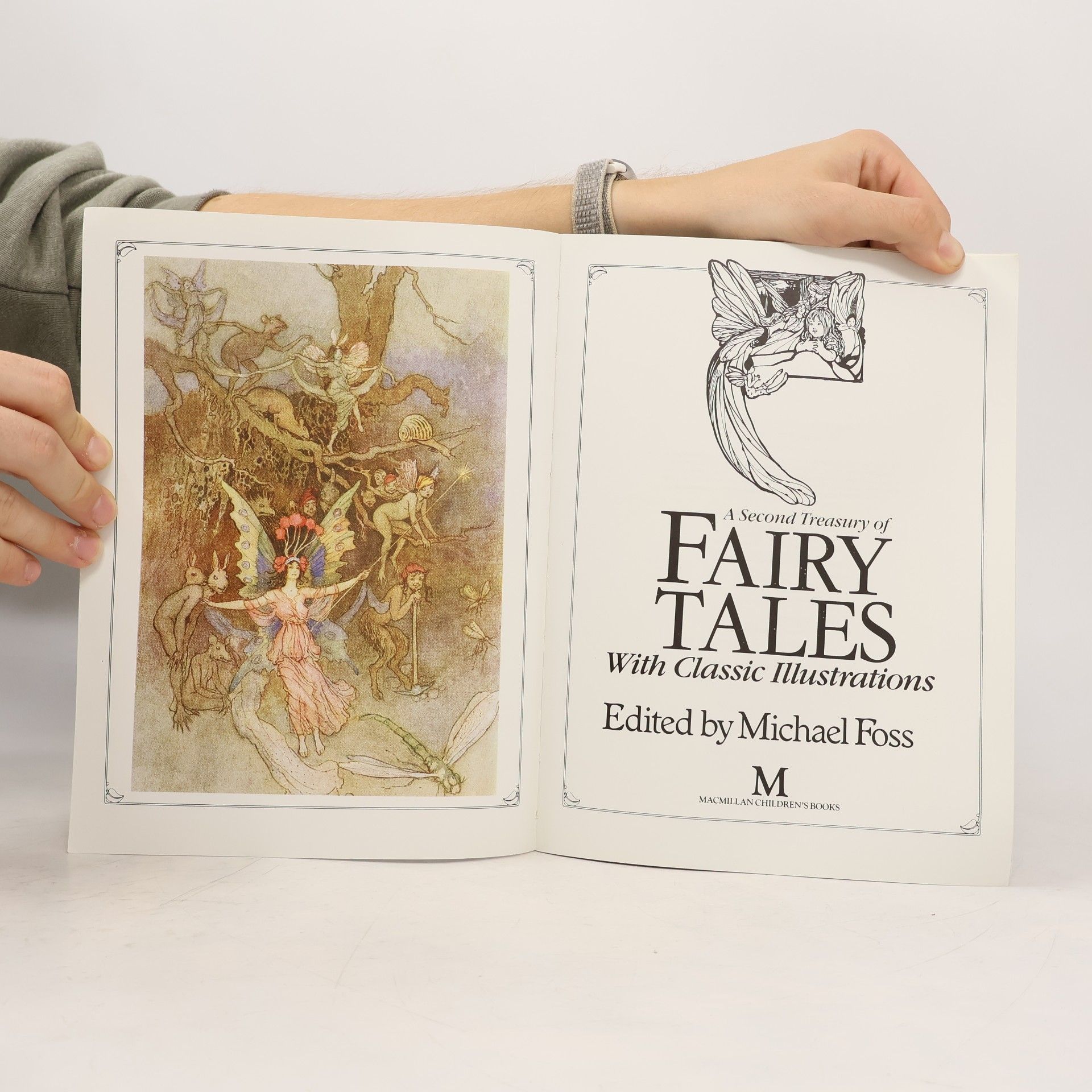 Michael Foss Treasury of Fairy Tales - 2: Fairy Tales