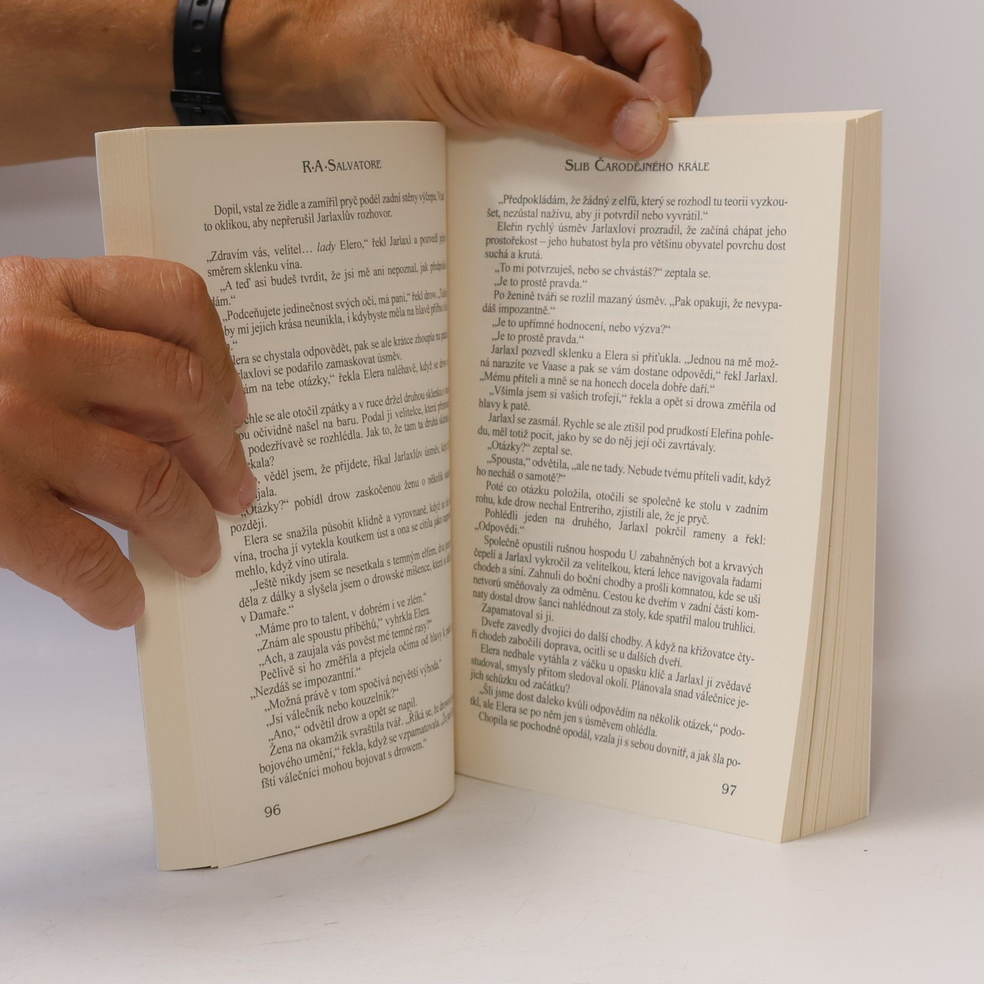 R. A. Salvatore Slib Čarodějného krále
