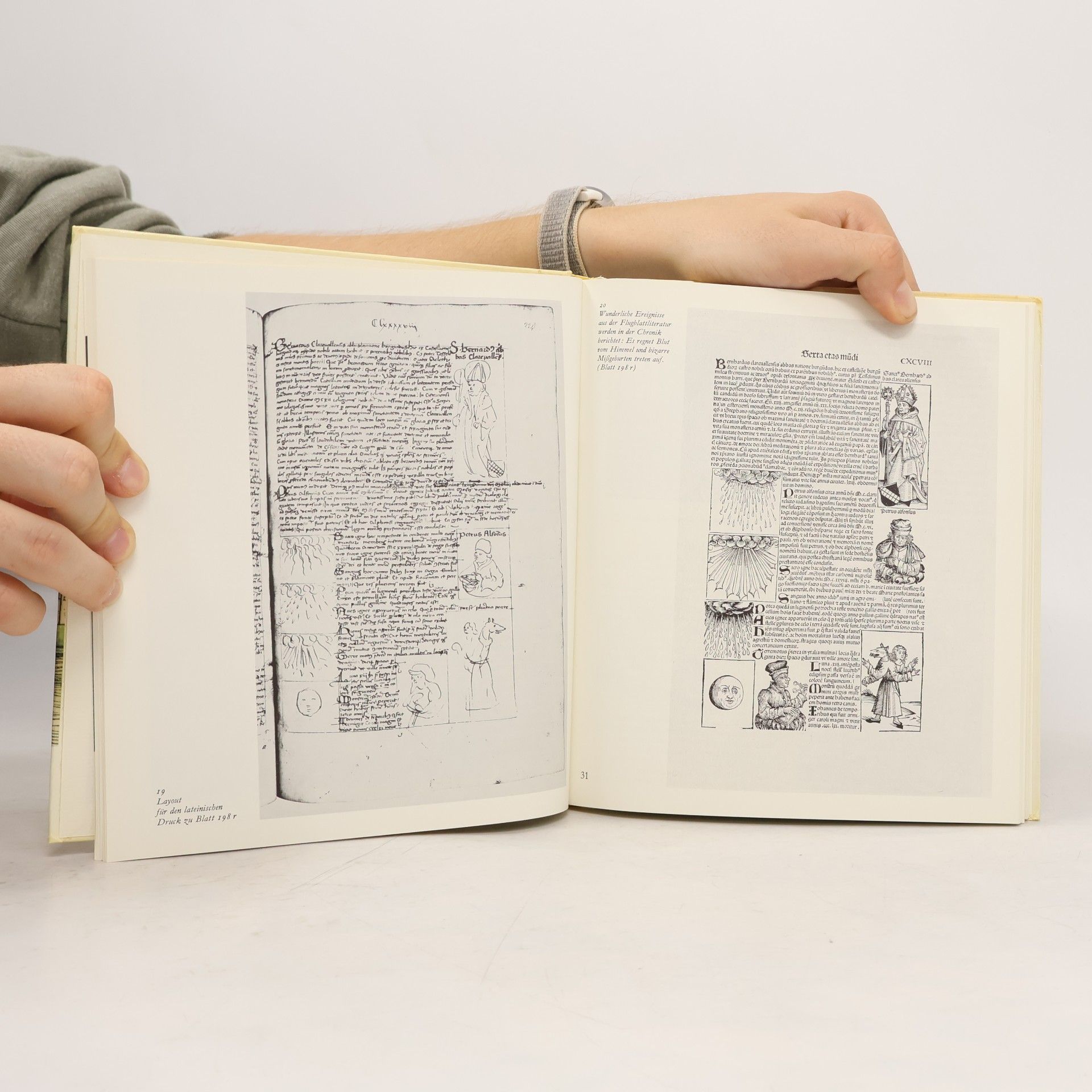 Elisabeth Rücker Die Schedelsche Weltchronik