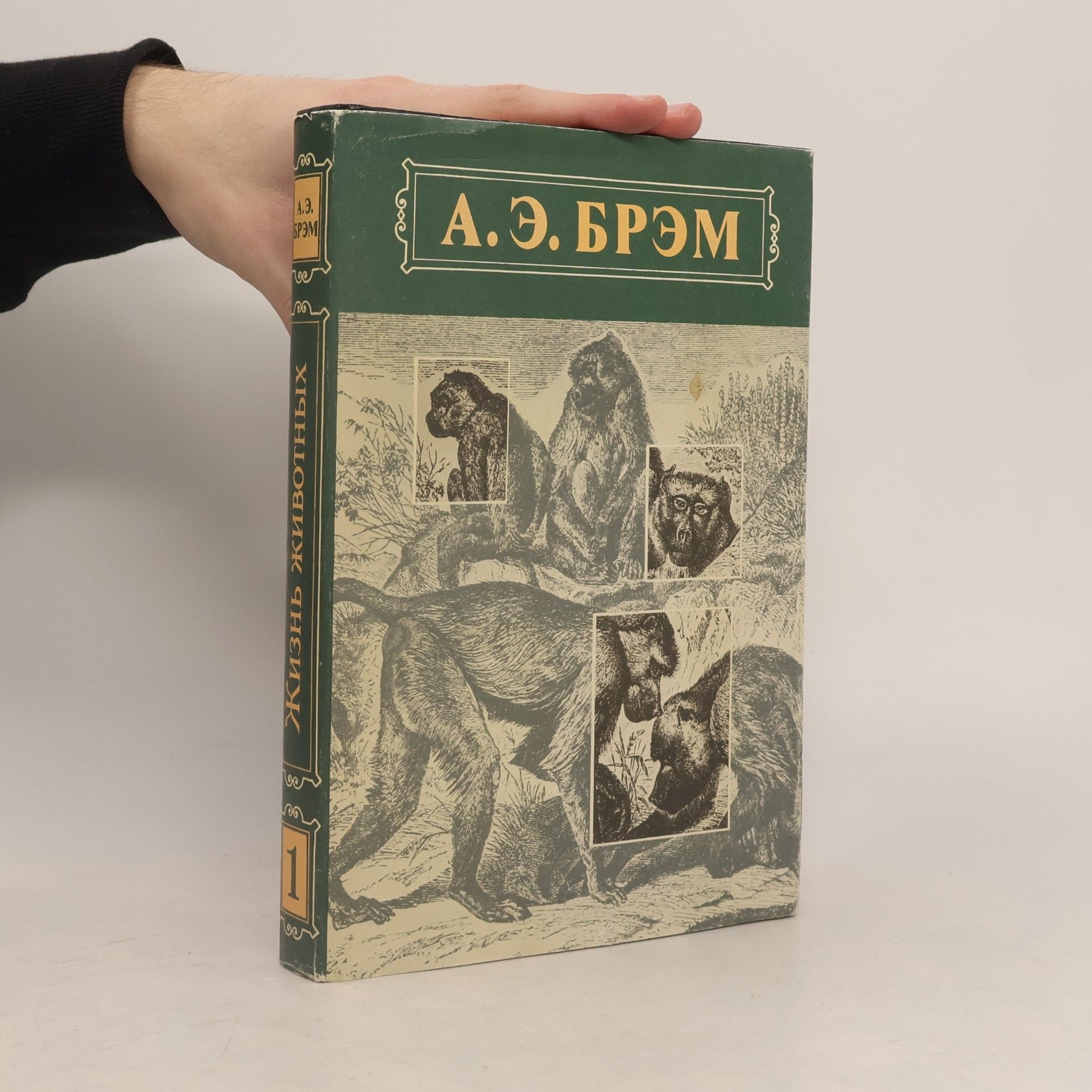 Alfred Edmund Brehm Жизнь животных