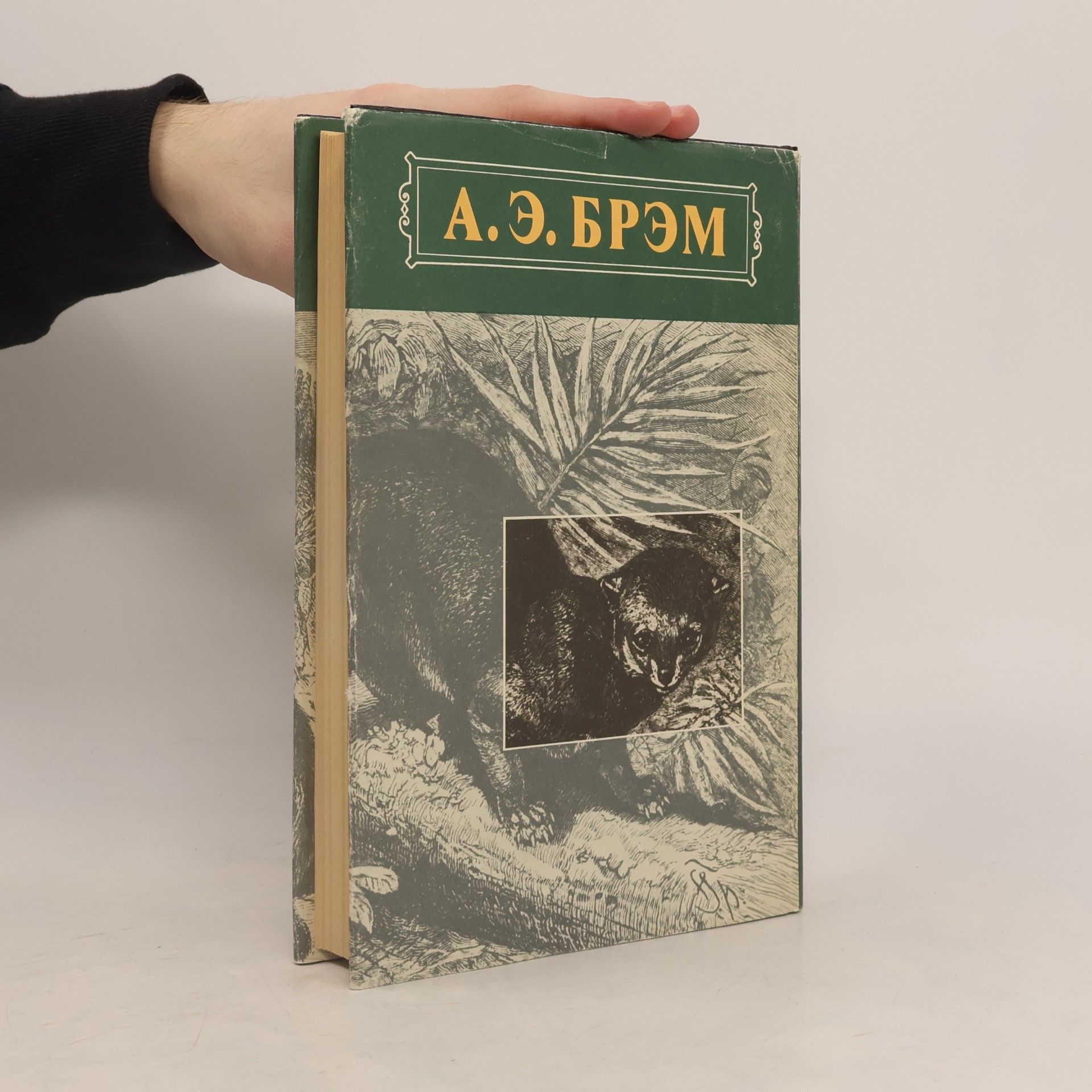 Alfred Edmund Brehm Жизнь животных