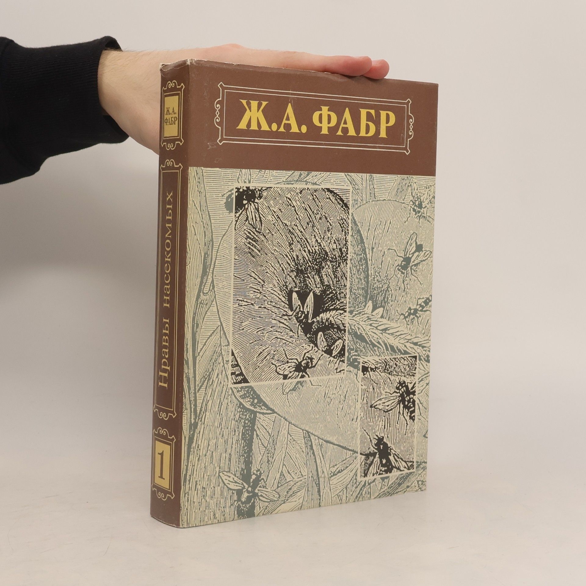 Нравы насекомых