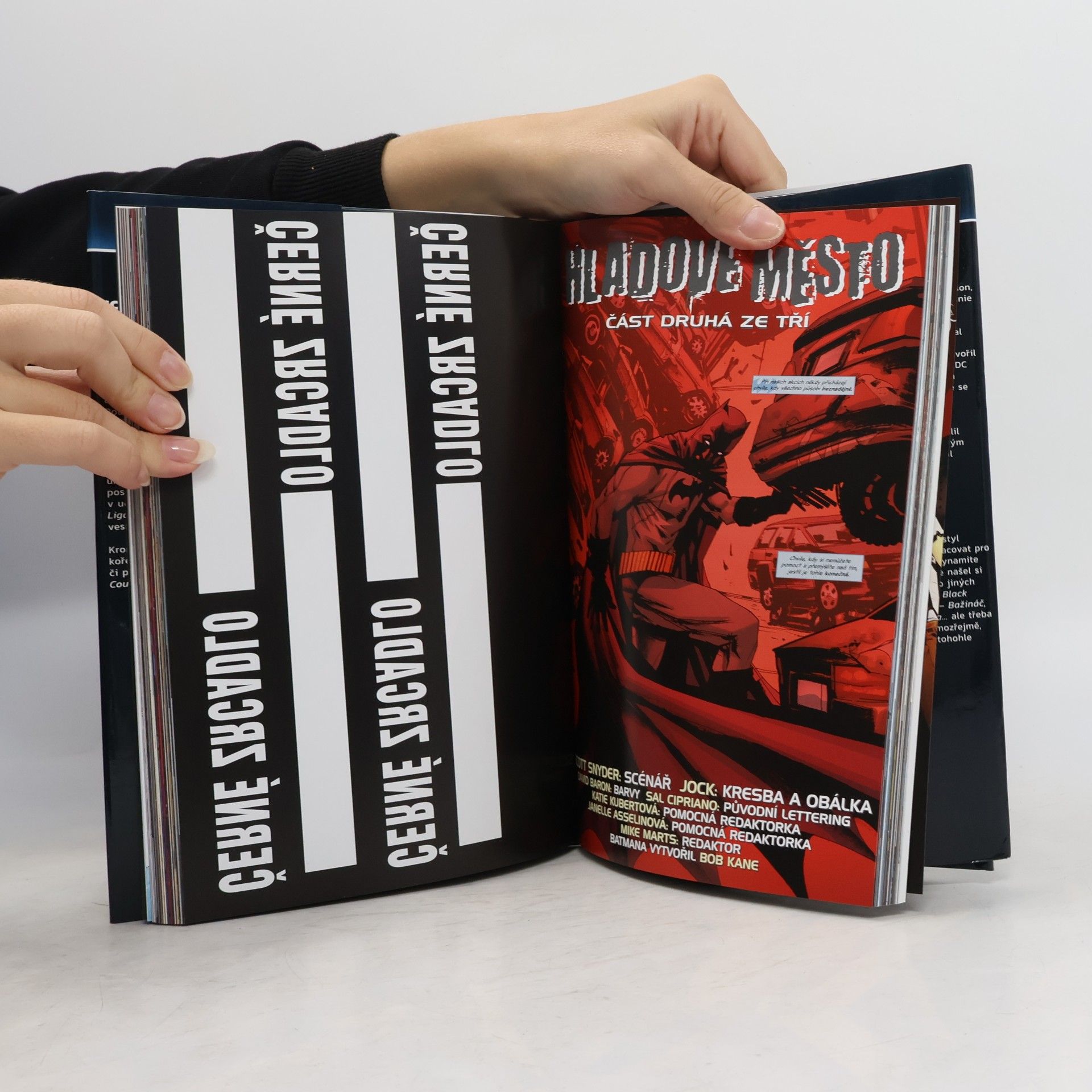 Various authors Batman. Černé zrcadlo