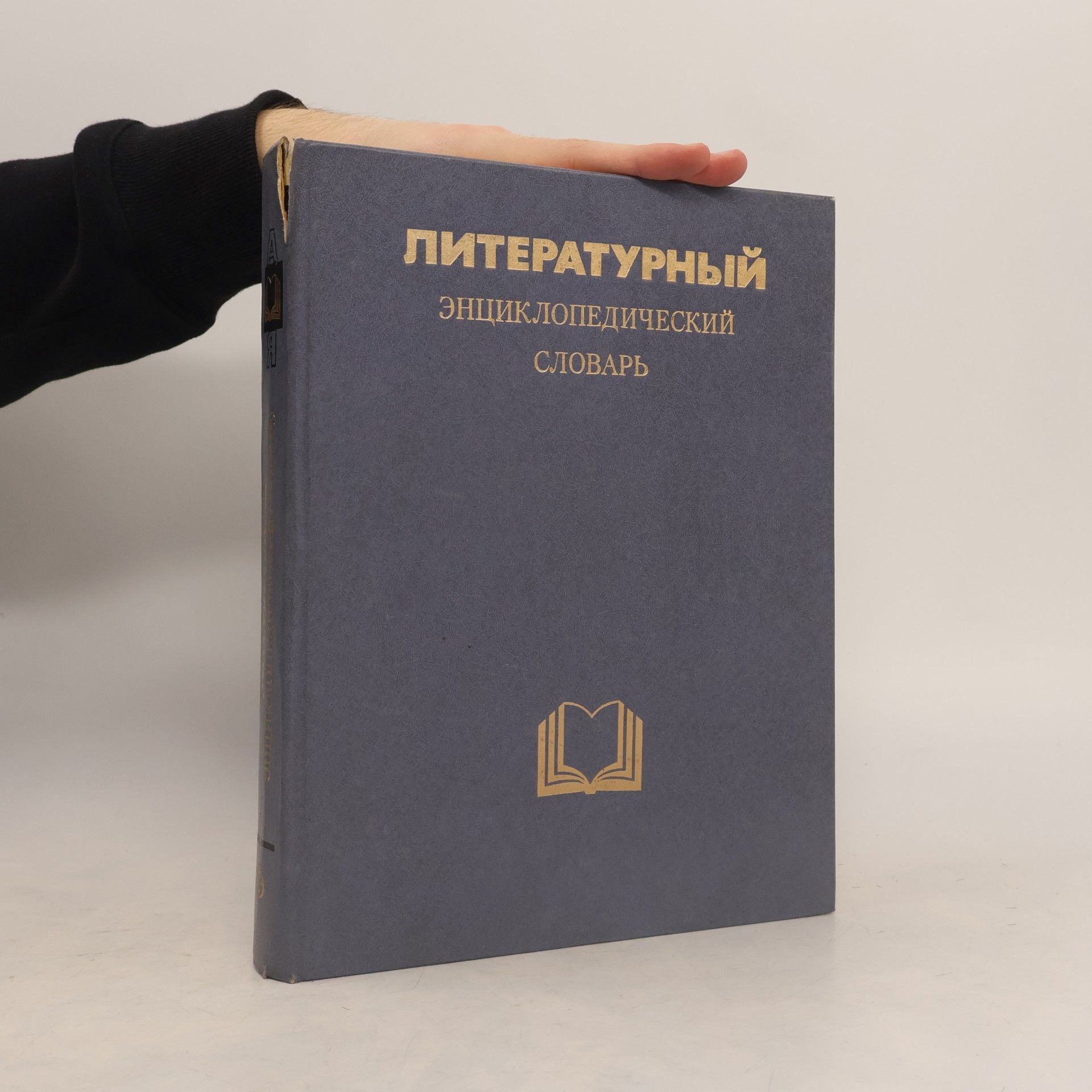 Kolektiv autorů Литературный энциклопедический словарь