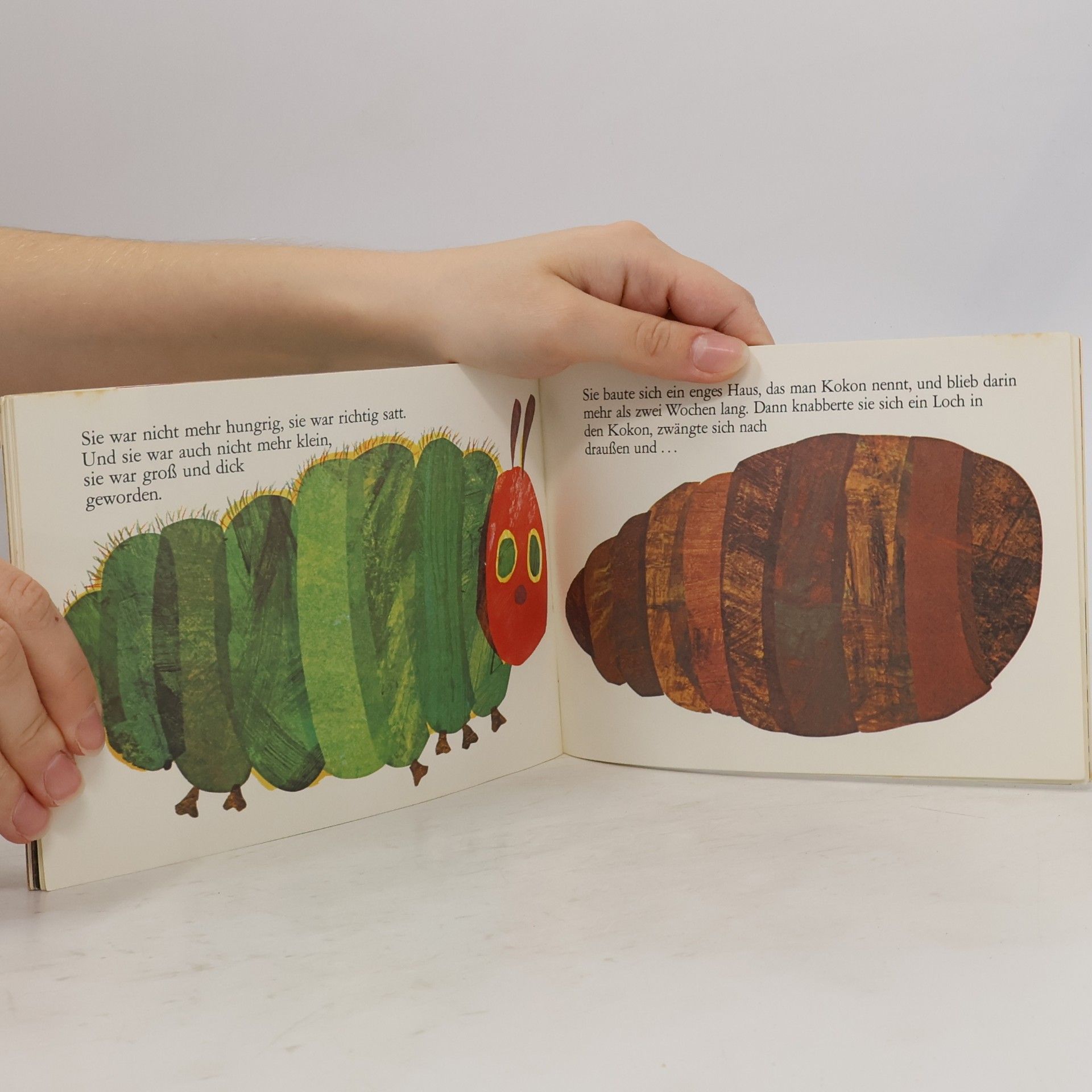 Eric Carle Die kleine Raupe Nimmersatt
