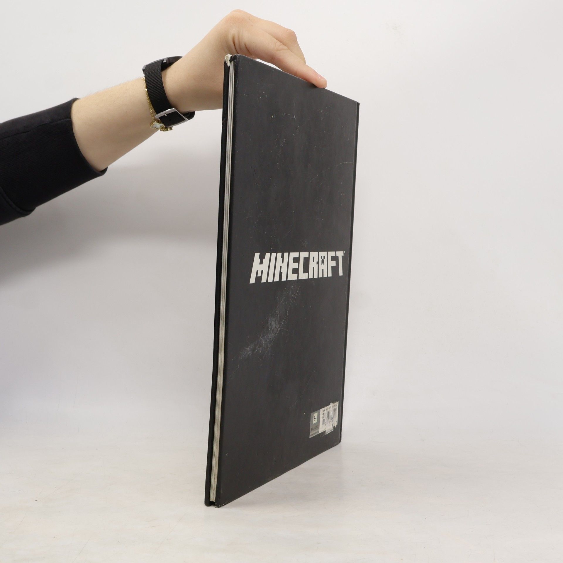 Autorenkollektiv Minecraft. Ročenka 2017