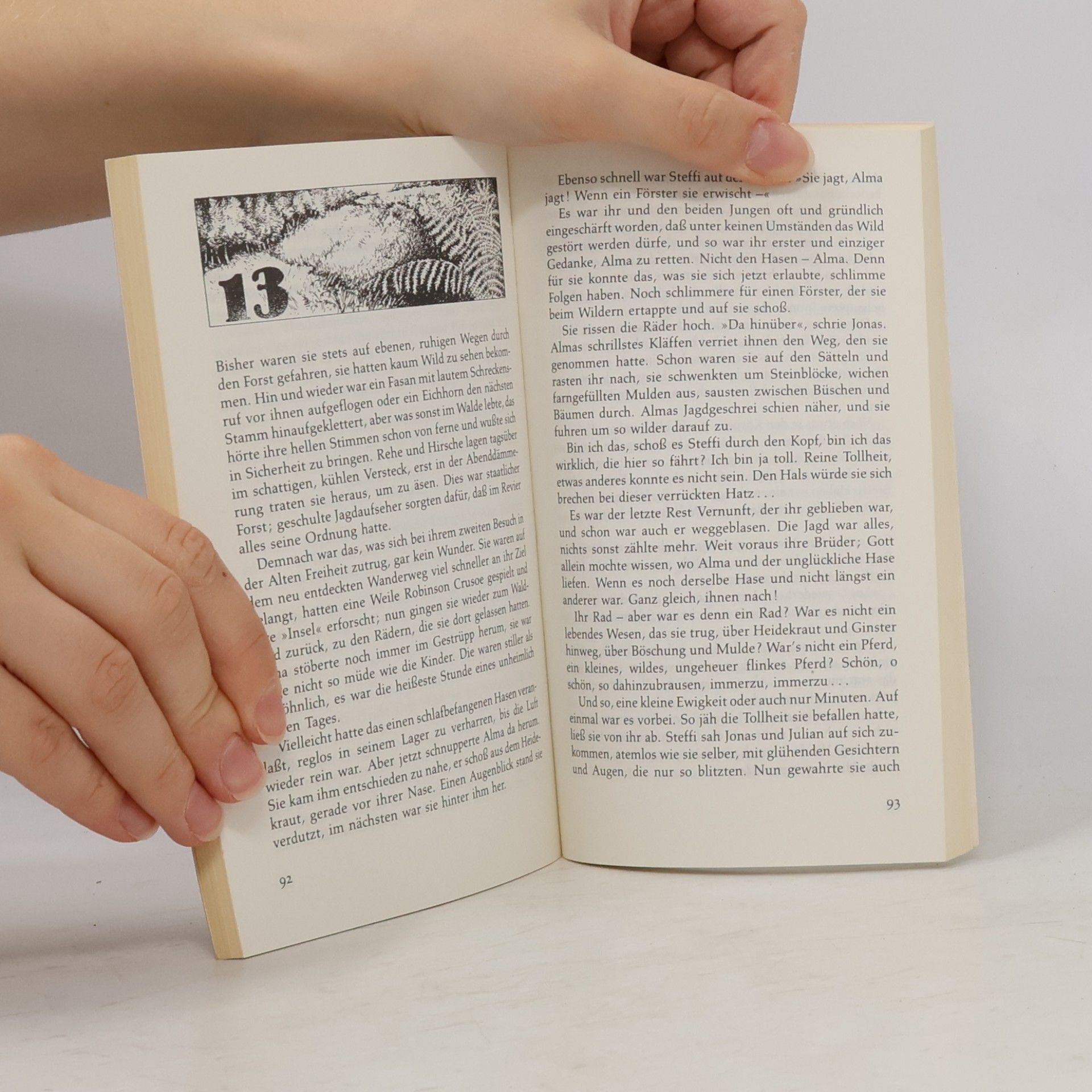 Katherine Allfrey Der Mitternachtshund