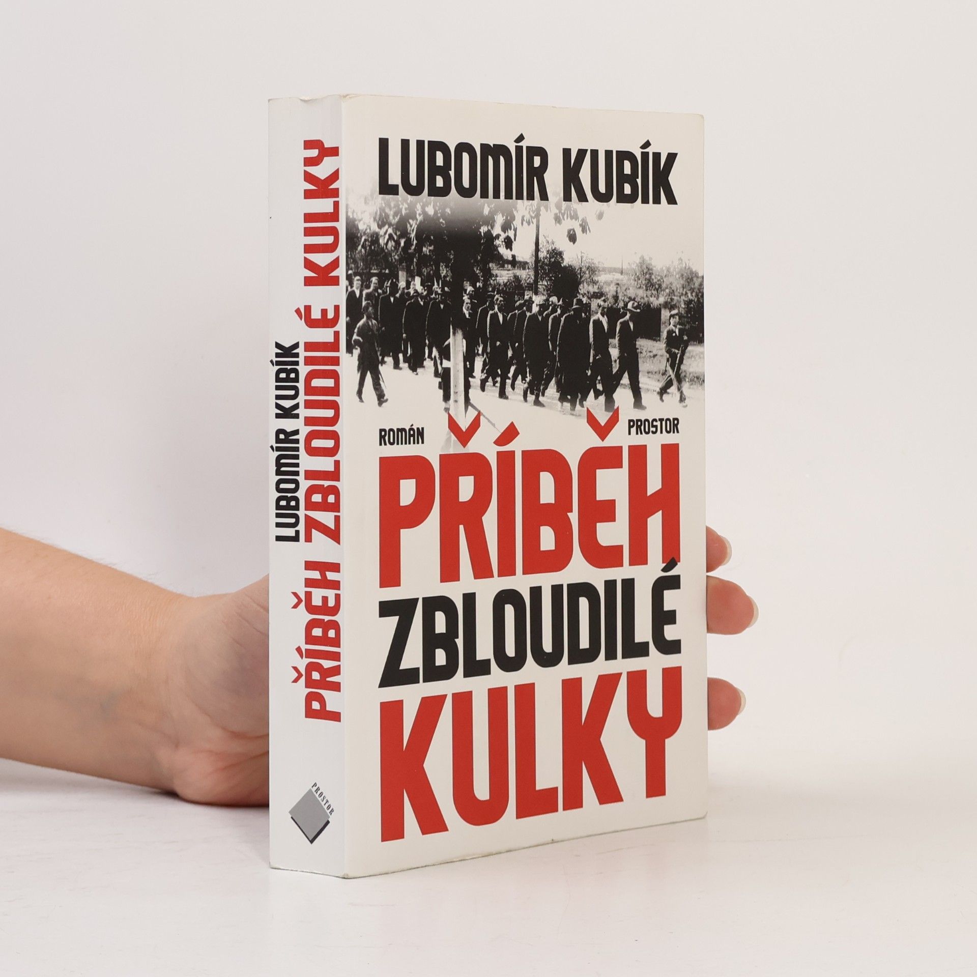 Lubomír Kubík Příběh zbloudilé kulky