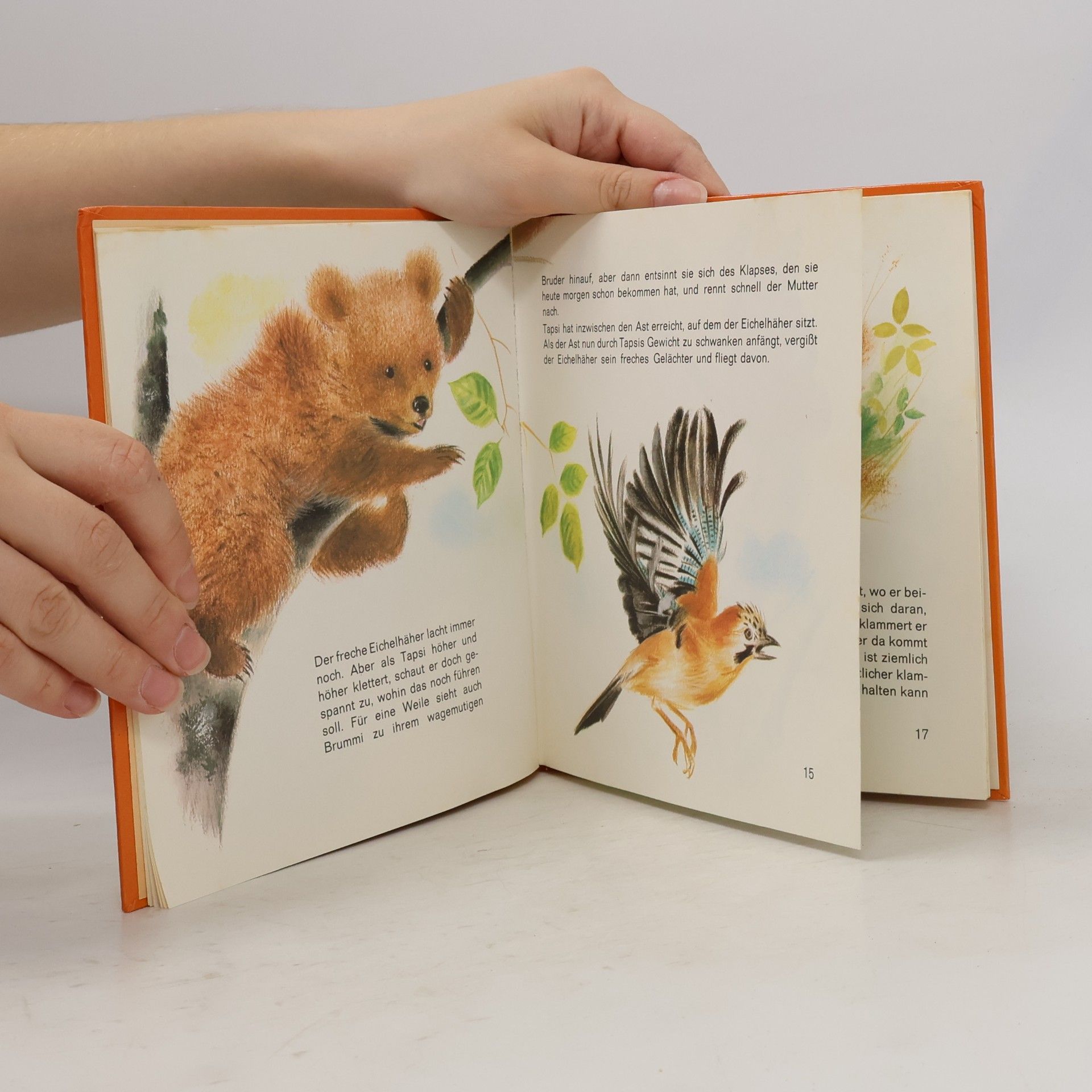 Autorenkollektiv Tapsi, der kleine Bär