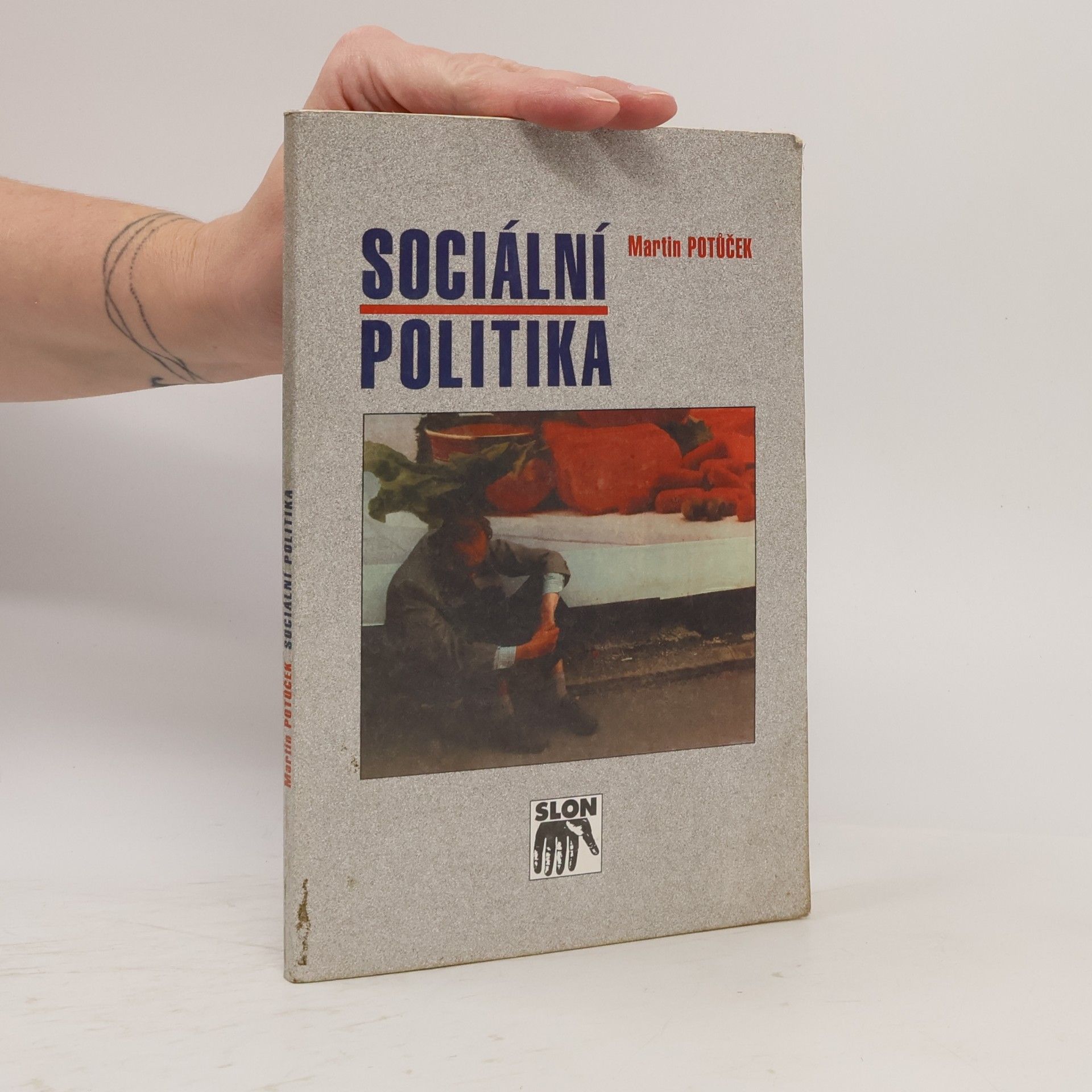 Sociální politika