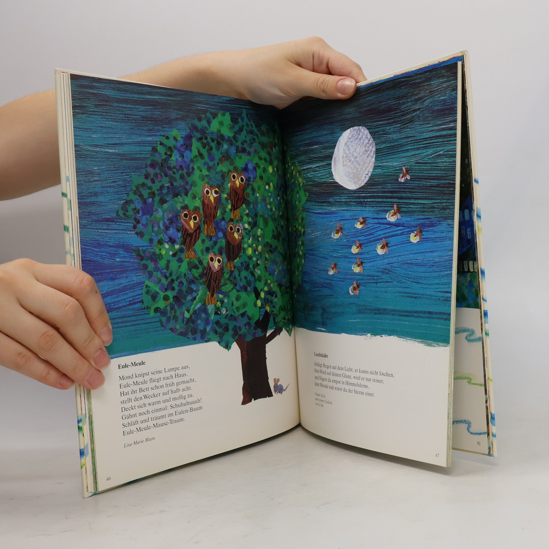 Eric Carle Eric Carles Großes Tierbilderbuch