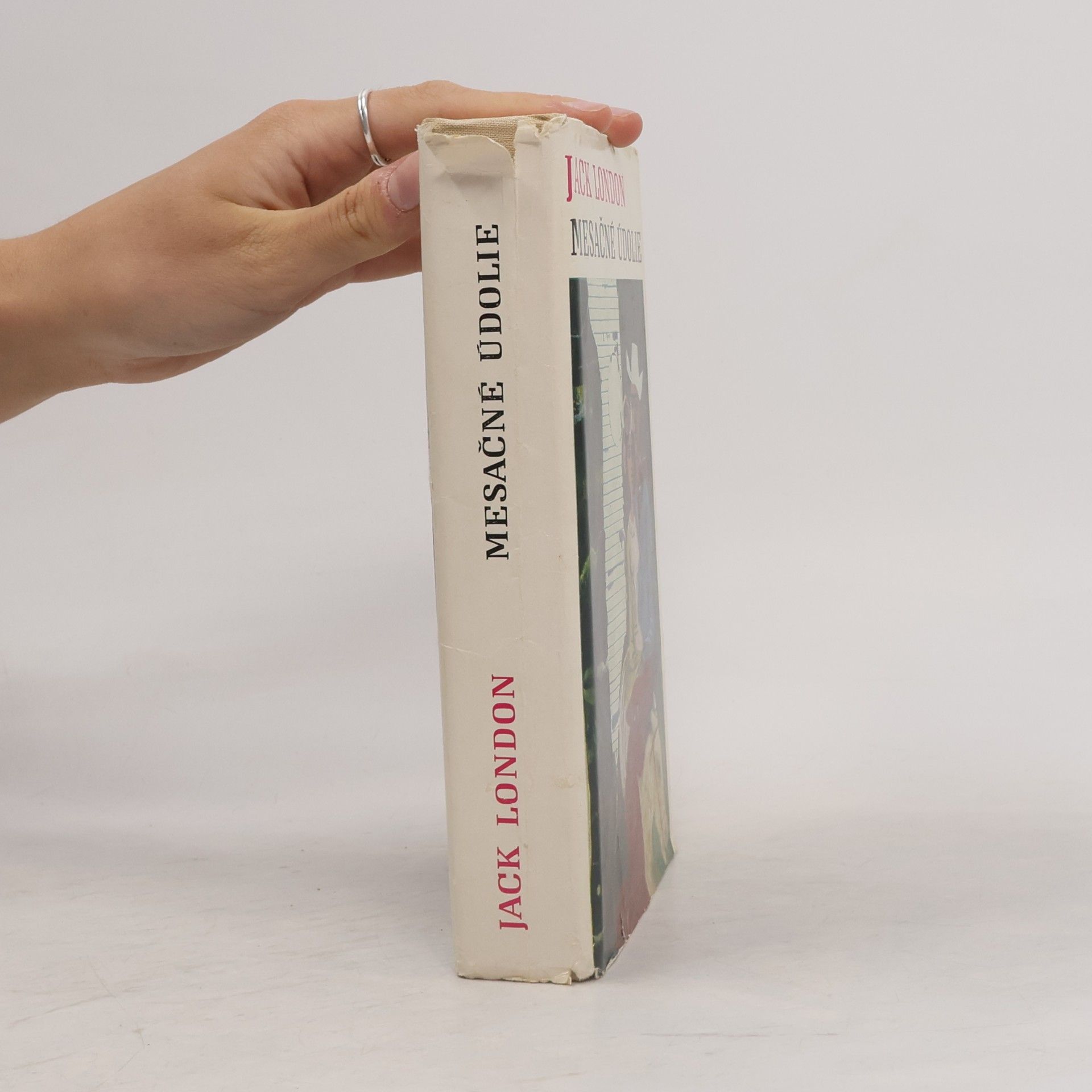 Jack London Mesačné údolie