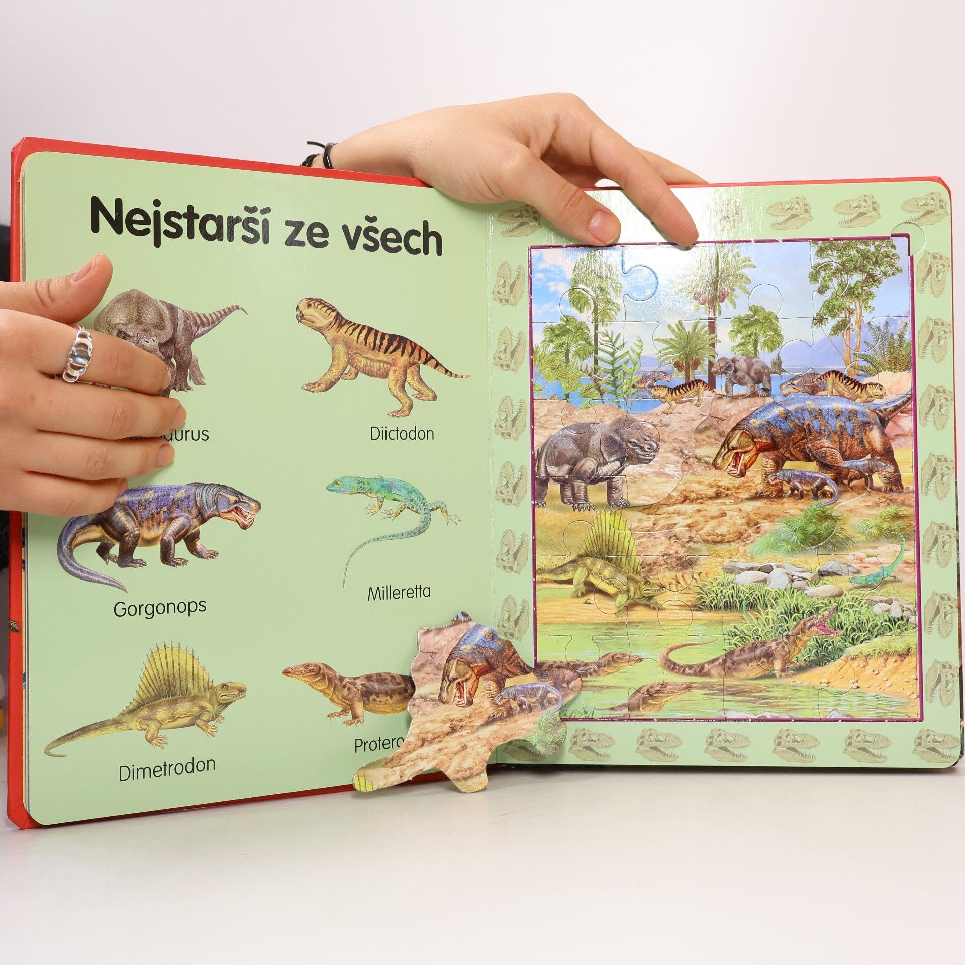 Karolína Schwarzová Dinosauři : 8x puzzle