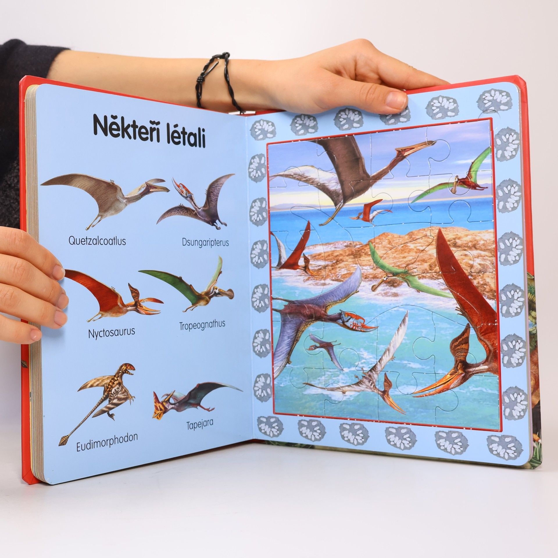 Karolína Schwarzová Dinosauři : 8x puzzle