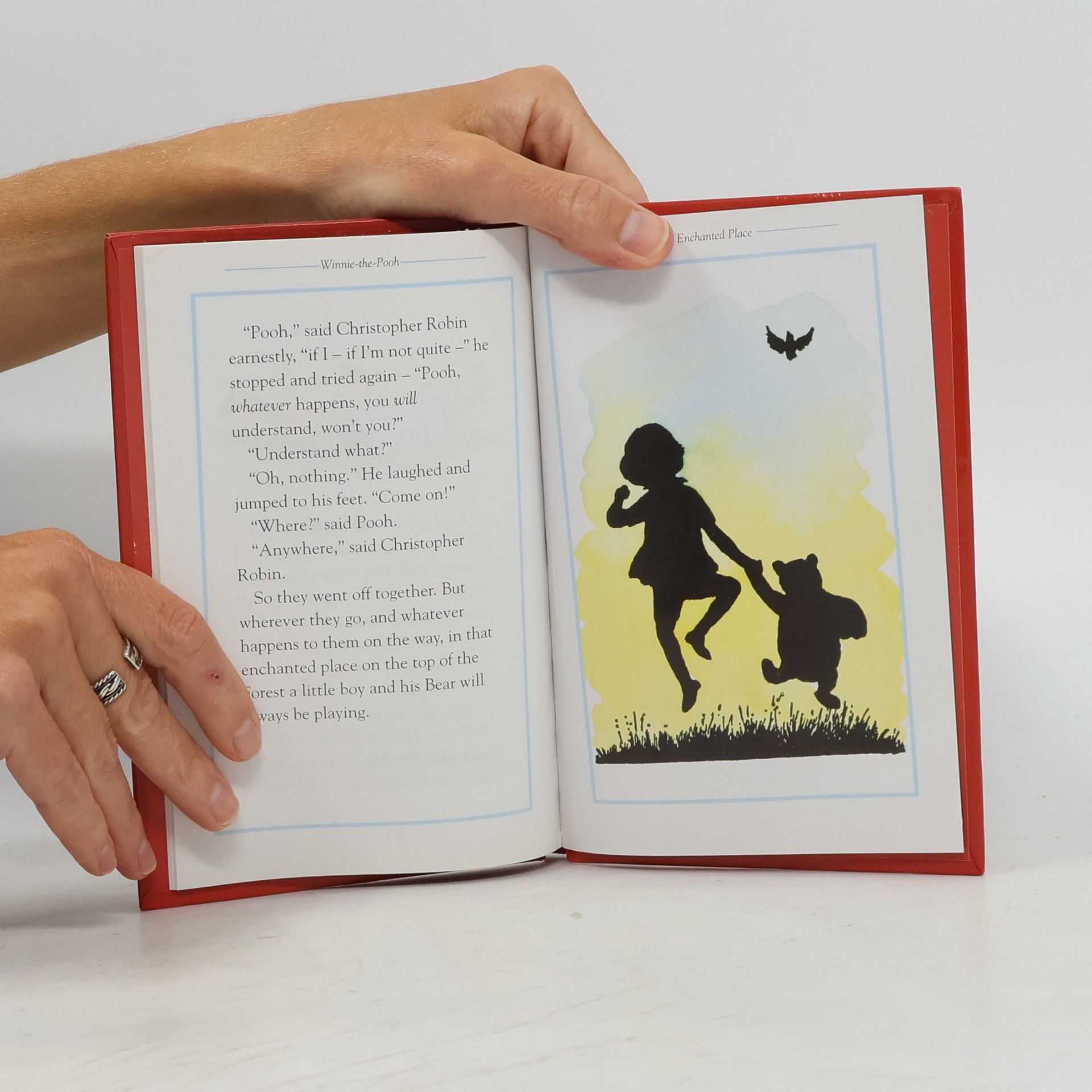 A.A. Milne Winnie-the-Pooh: An Enchanted Place