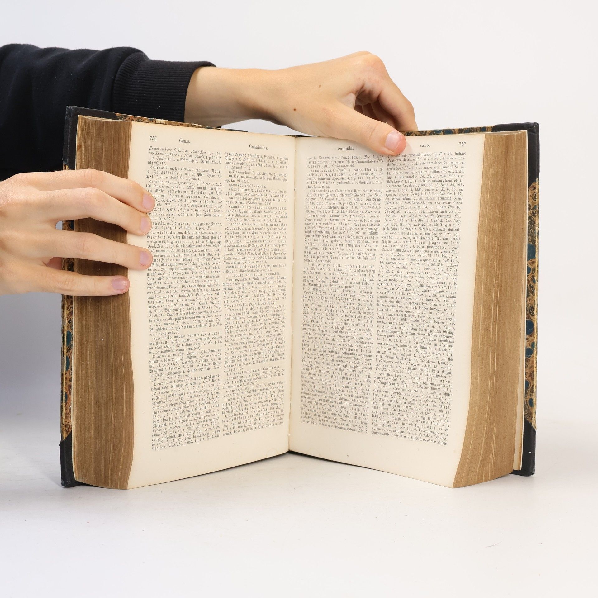 Reinhold Klotz Handwörterbuch der lateinischen Sprache I. A-H