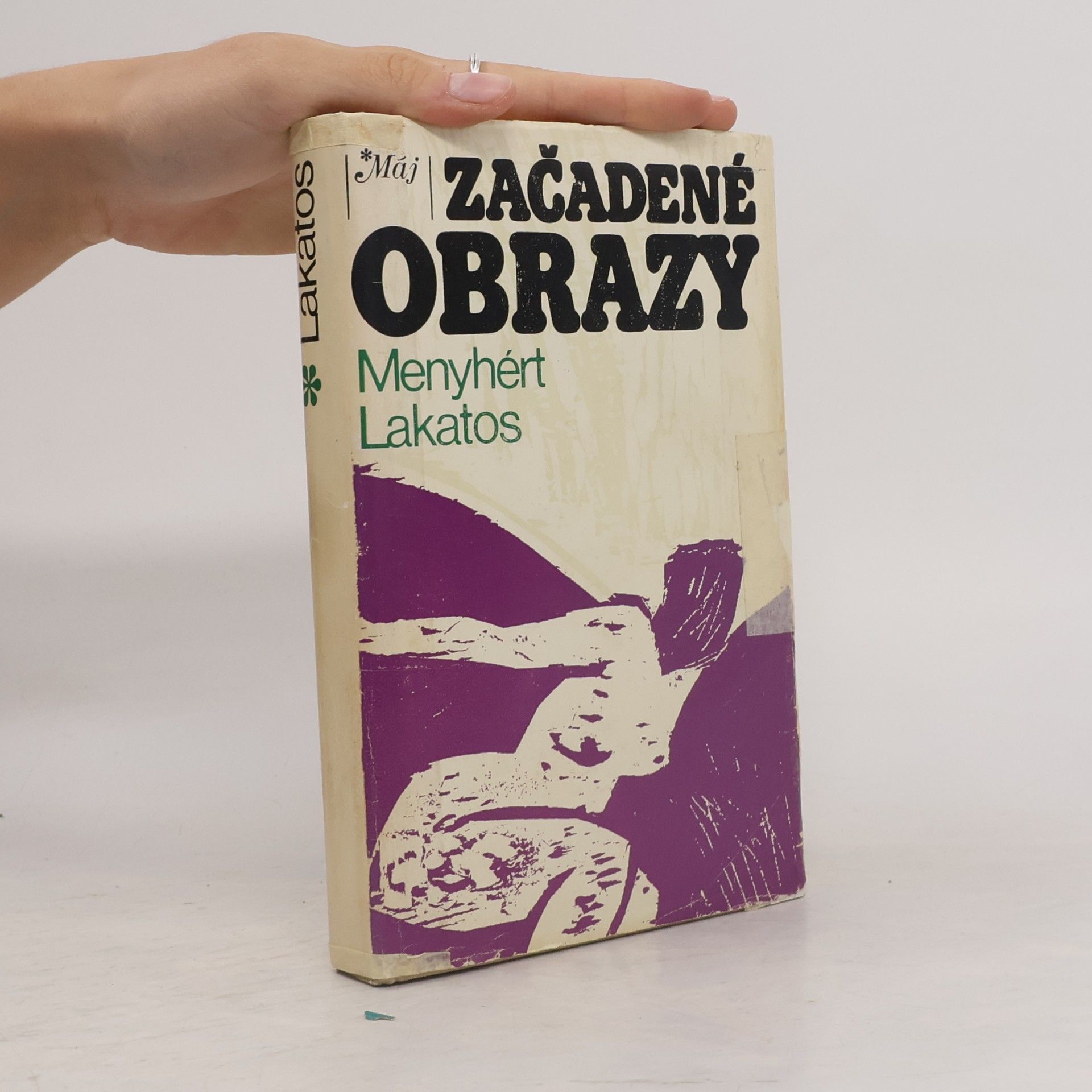 Začadené obrazy