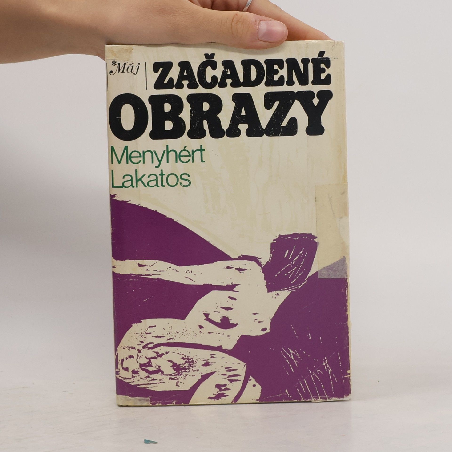 Menyhért Lakatos Začadené obrazy