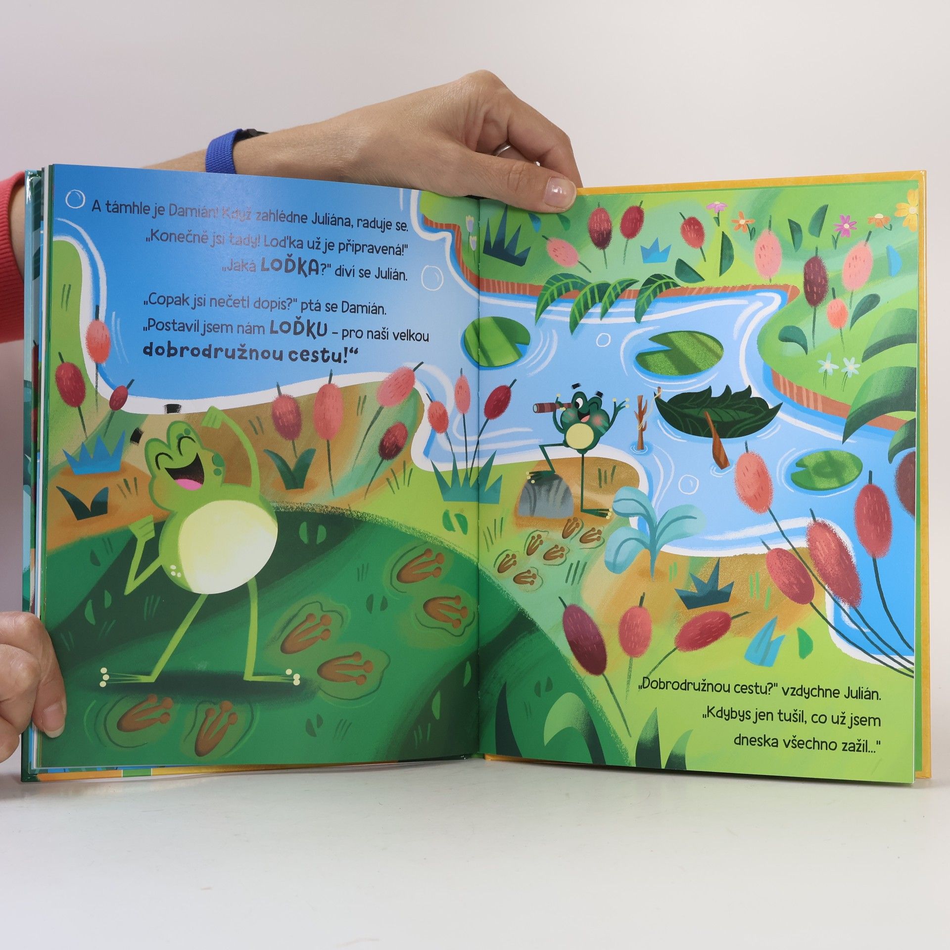 Valentina Schöttes Kde ten žabák jenom vězí?