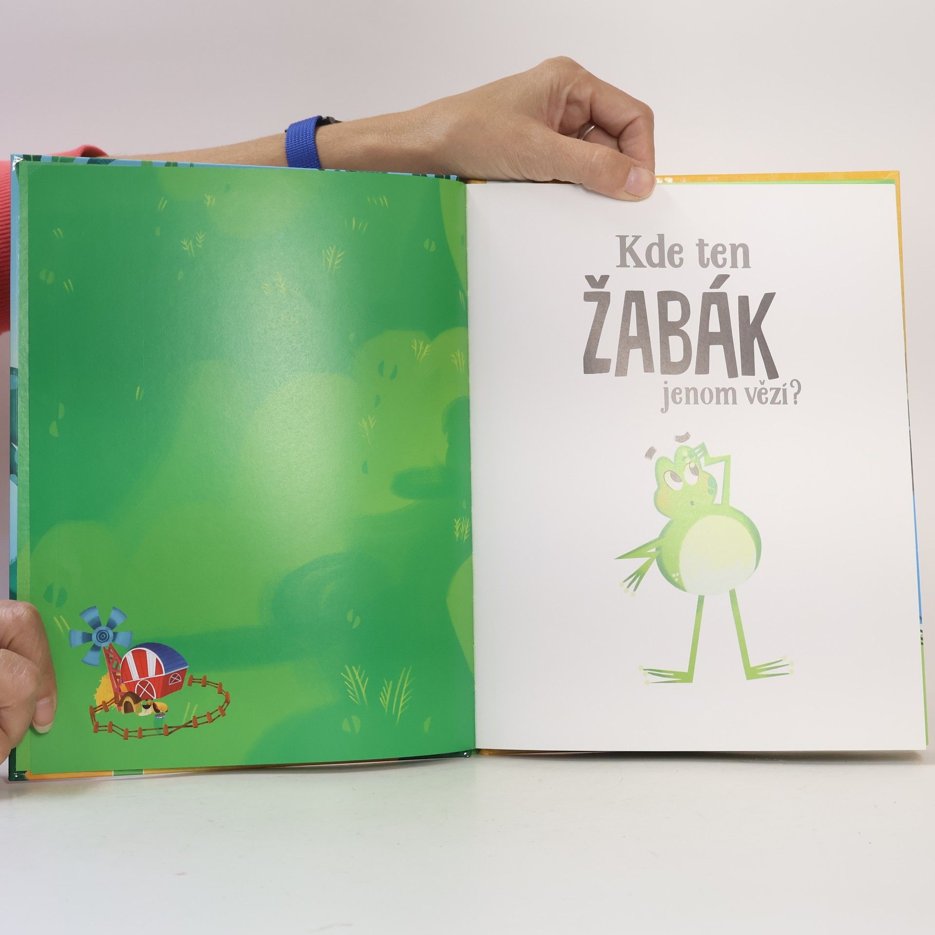 Valentina Schöttes Kde ten žabák jenom vězí?