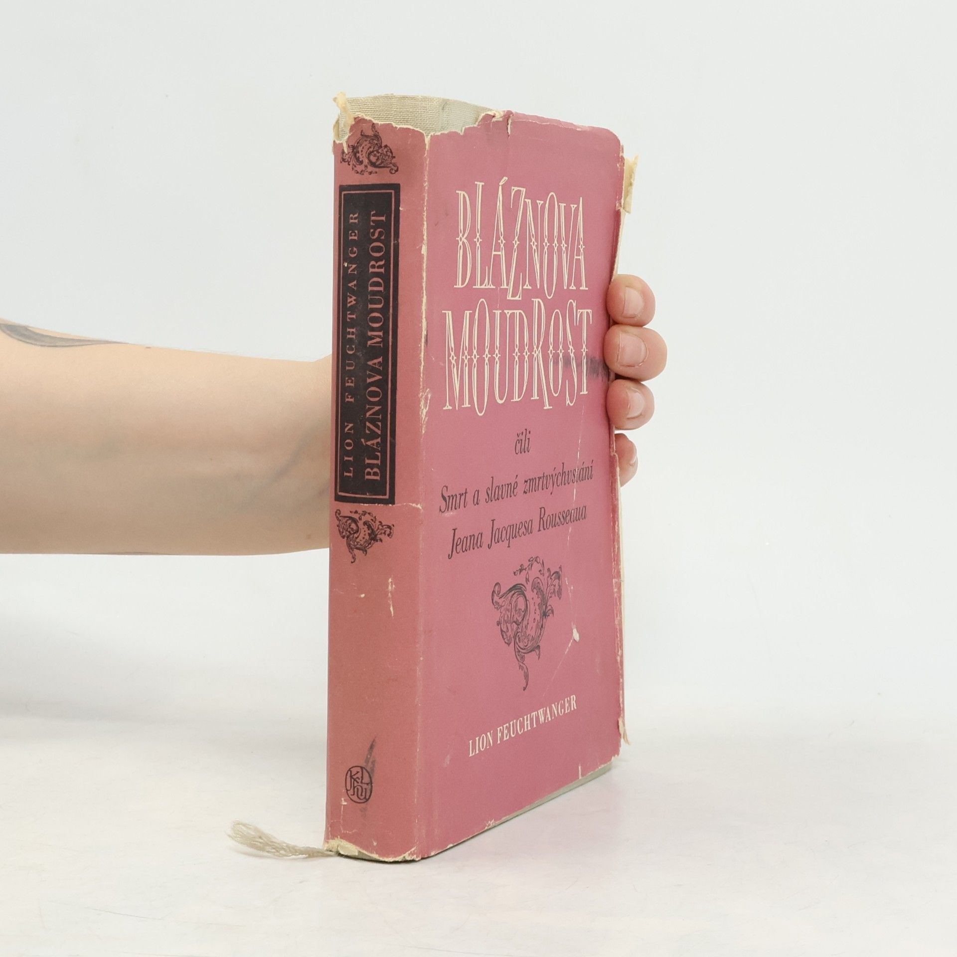 Bláznova moudrost