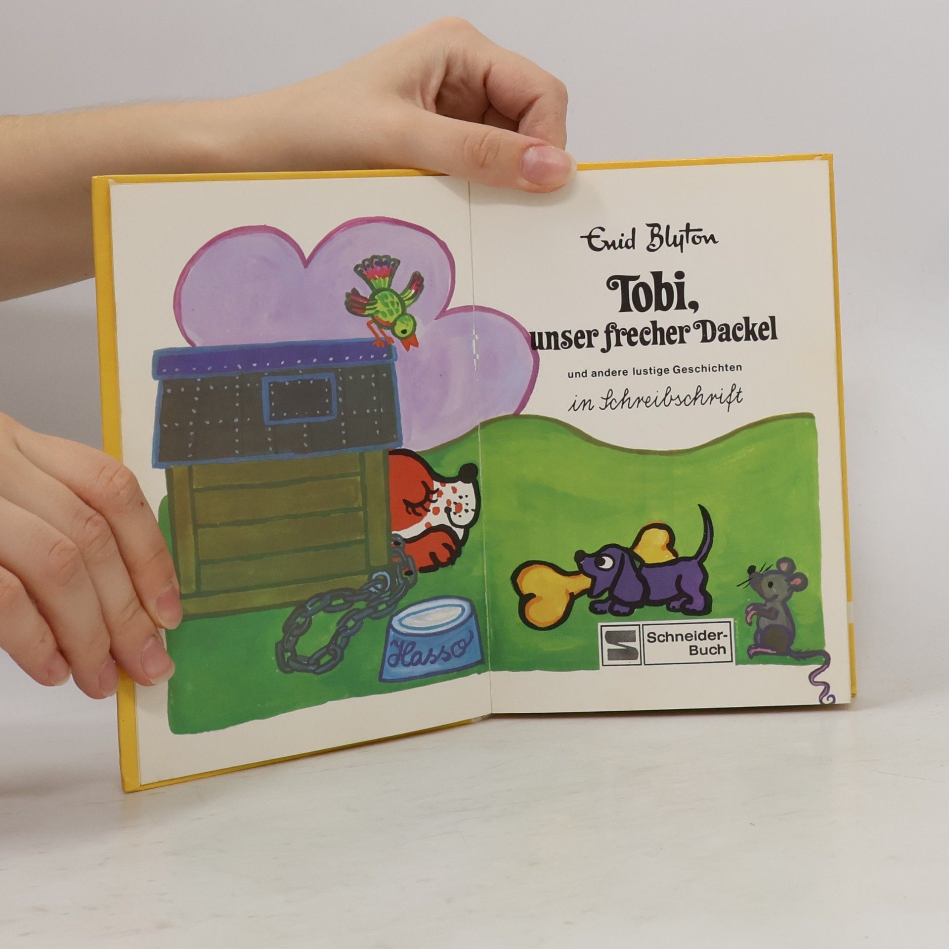 Enid Blyton Tobi, unser frecher Dackel