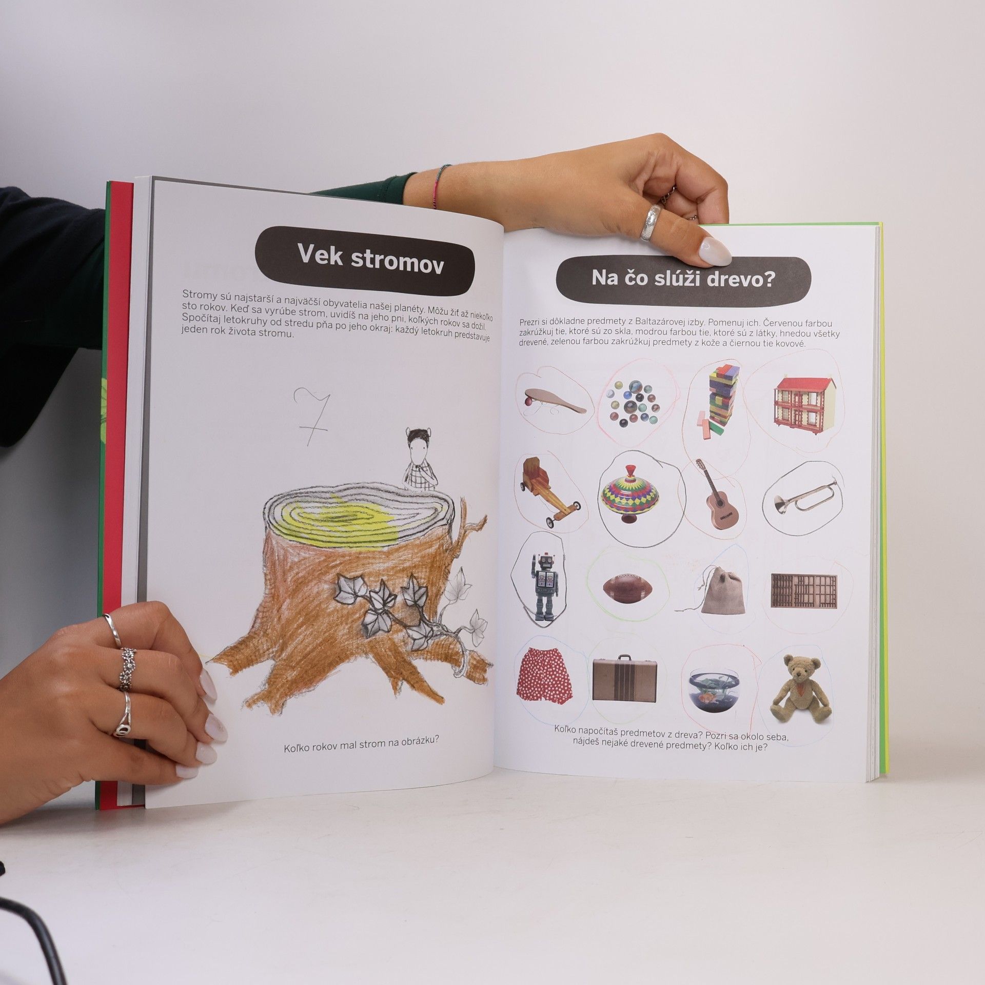 Autorenkollektiv Veľký,väčší,najväčší zošit o prírode- Montessori