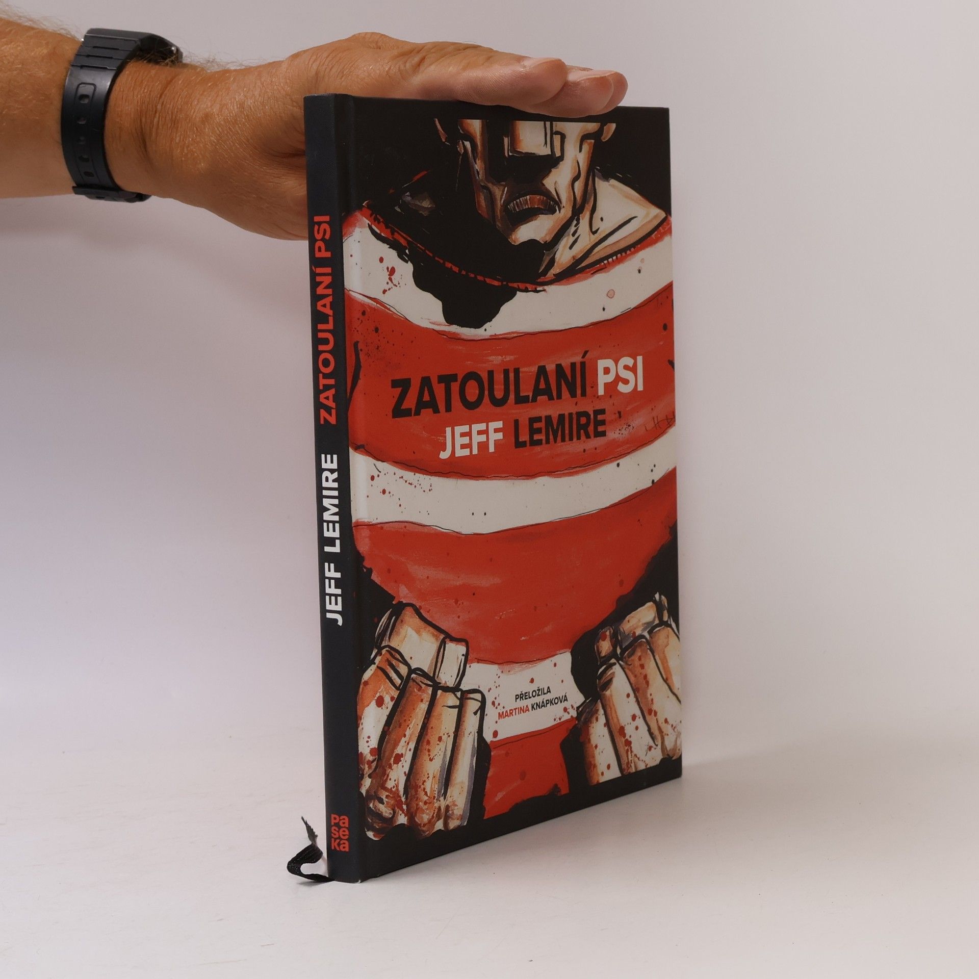 Jeff Lemire Zatoulaní psi