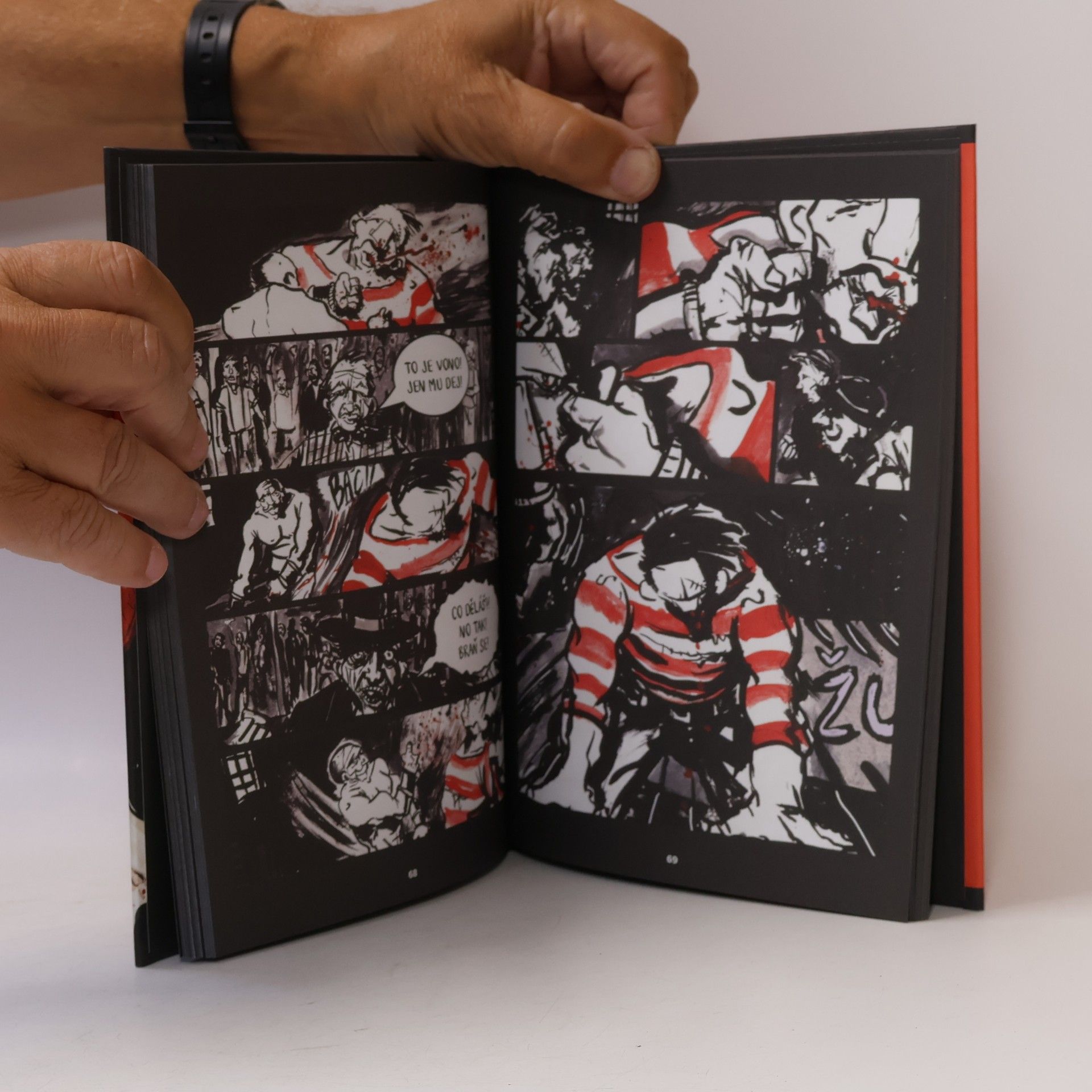Jeff Lemire Zatoulaní psi