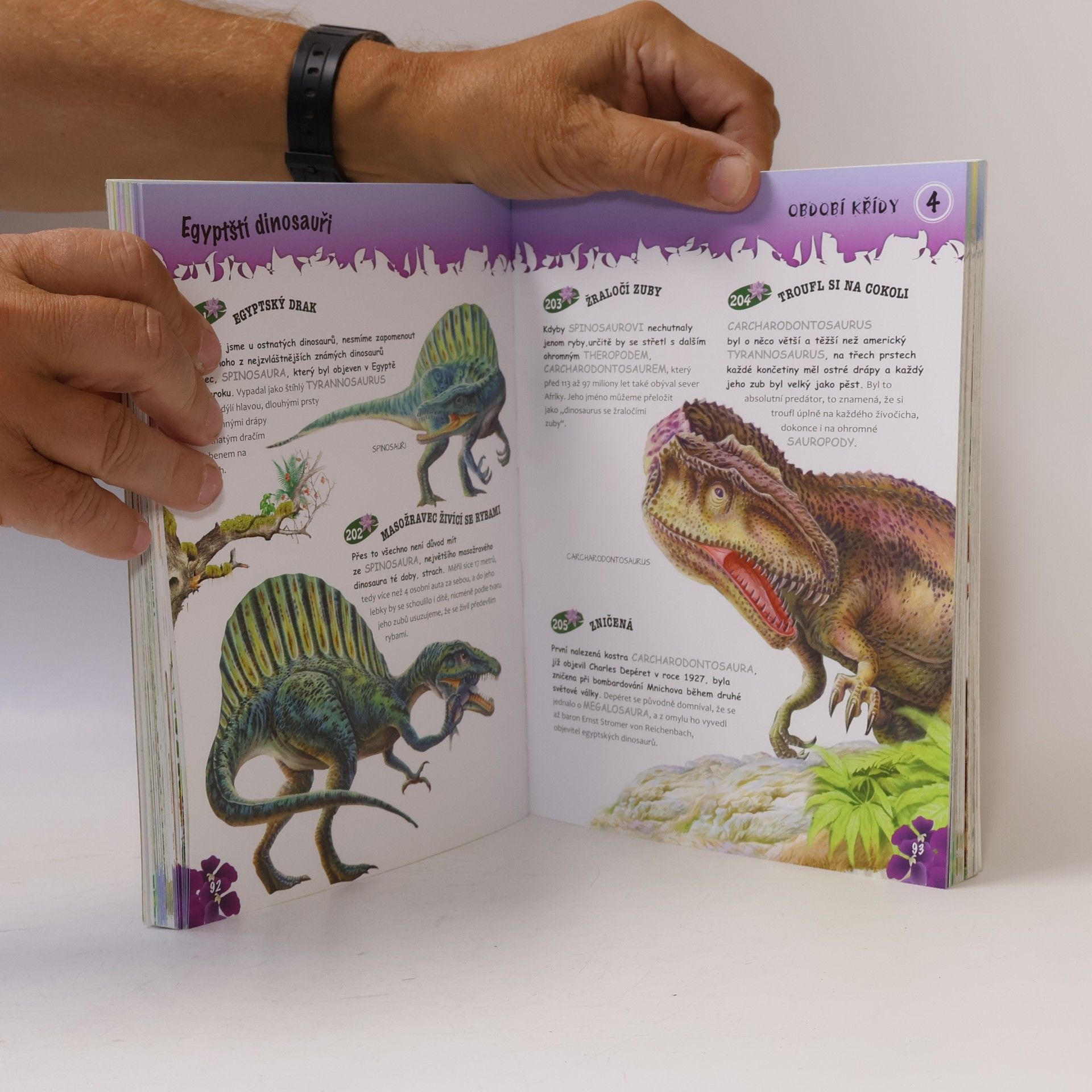 Kateřina Piorecká Dinosauři