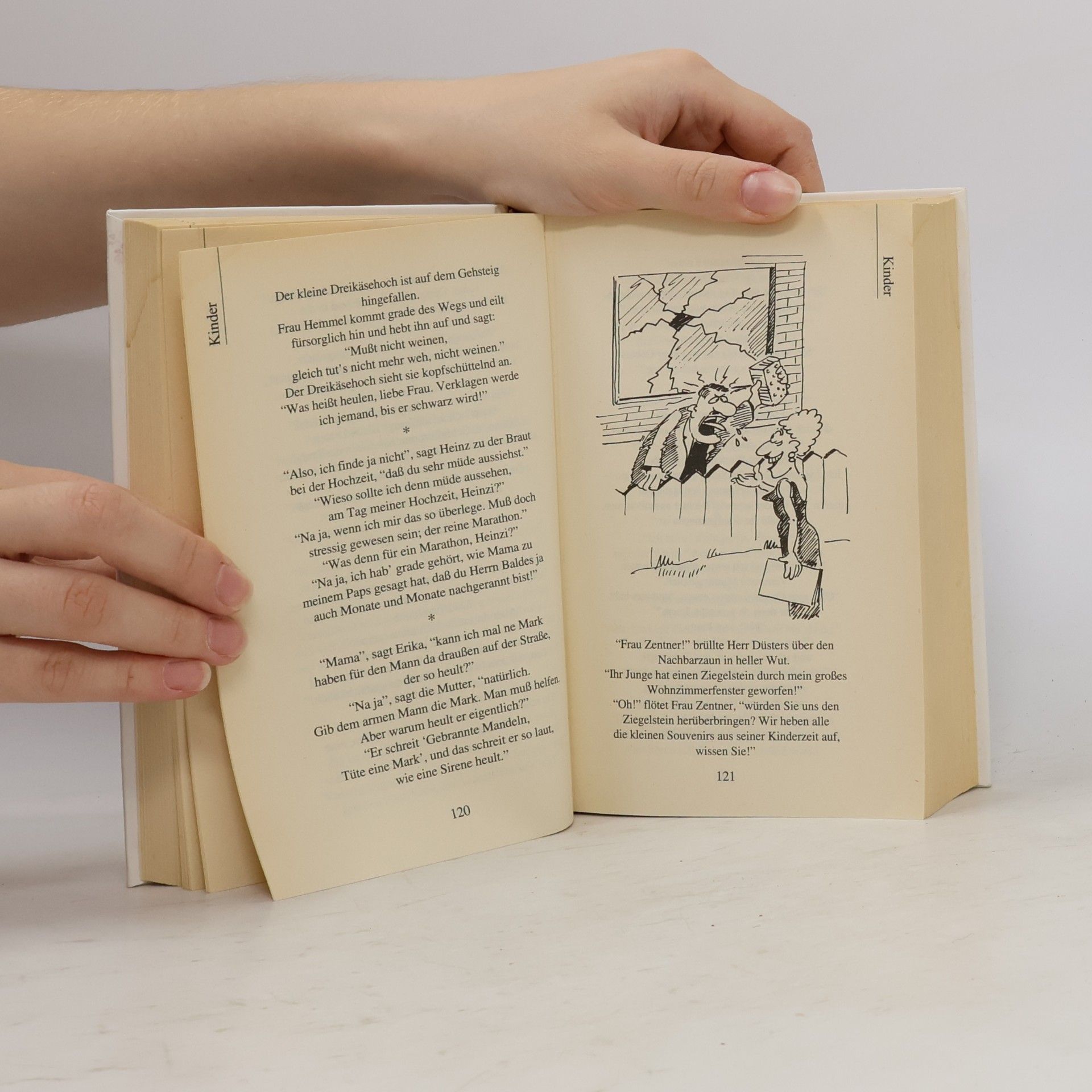 Autorenkollektiv Die neue Witze Sammlung