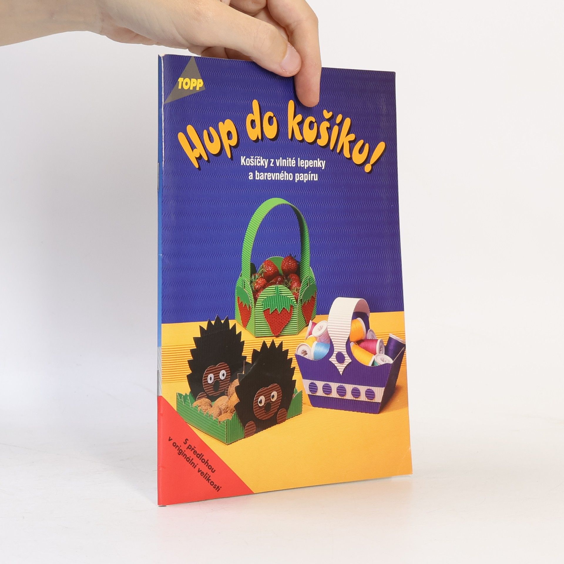 Julia Täubner Hup do košíku! : košíčky z vlnité lepenky a barevného papíru
