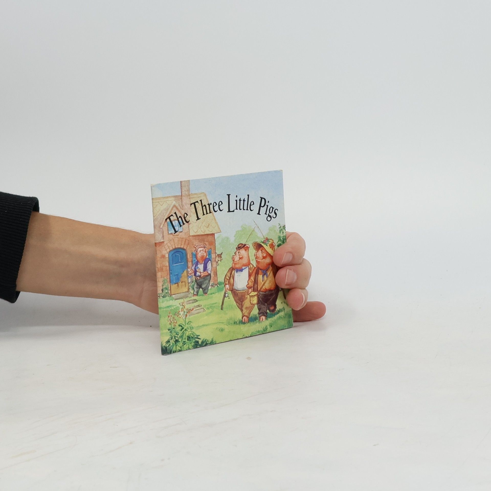 Autorenkollektiv The Three Little Pigs