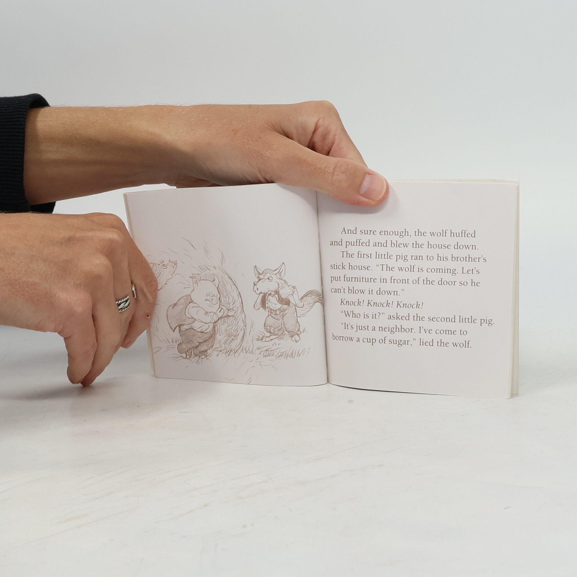 Autorenkollektiv The Three Little Pigs