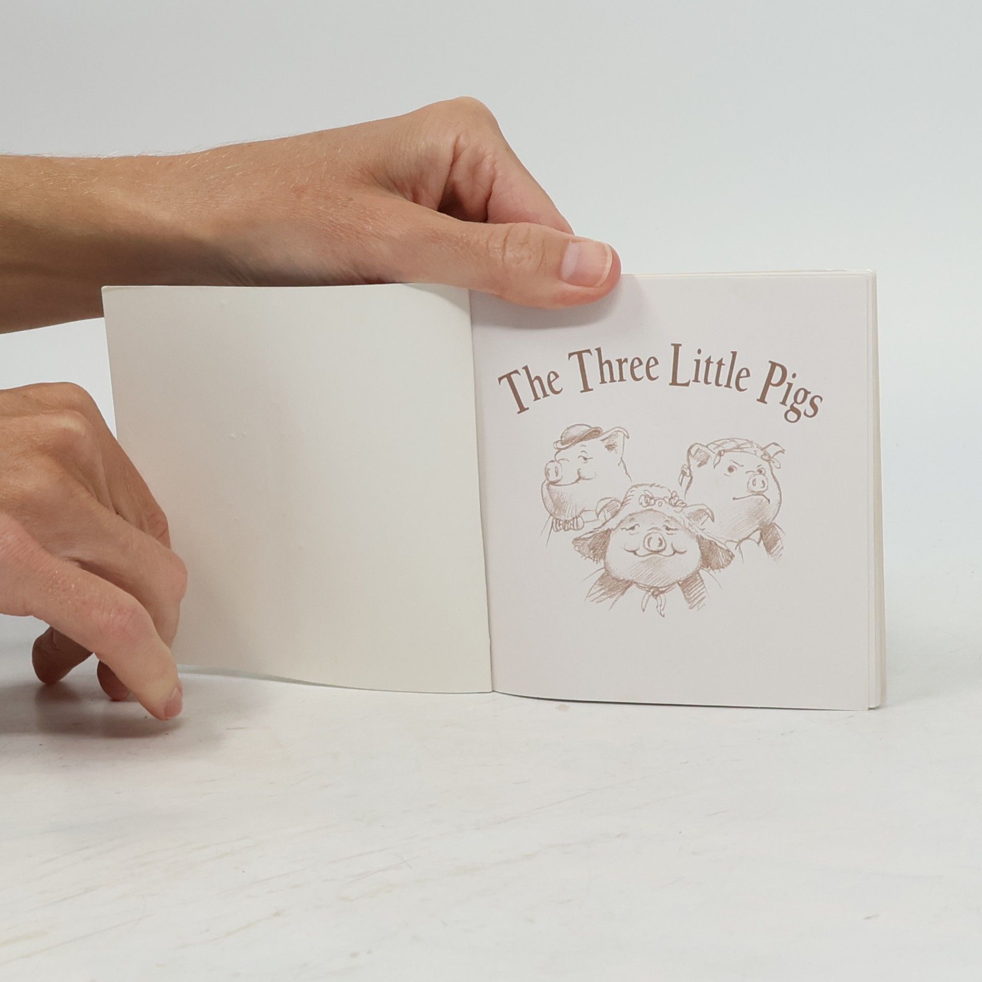 Autorenkollektiv The Three Little Pigs