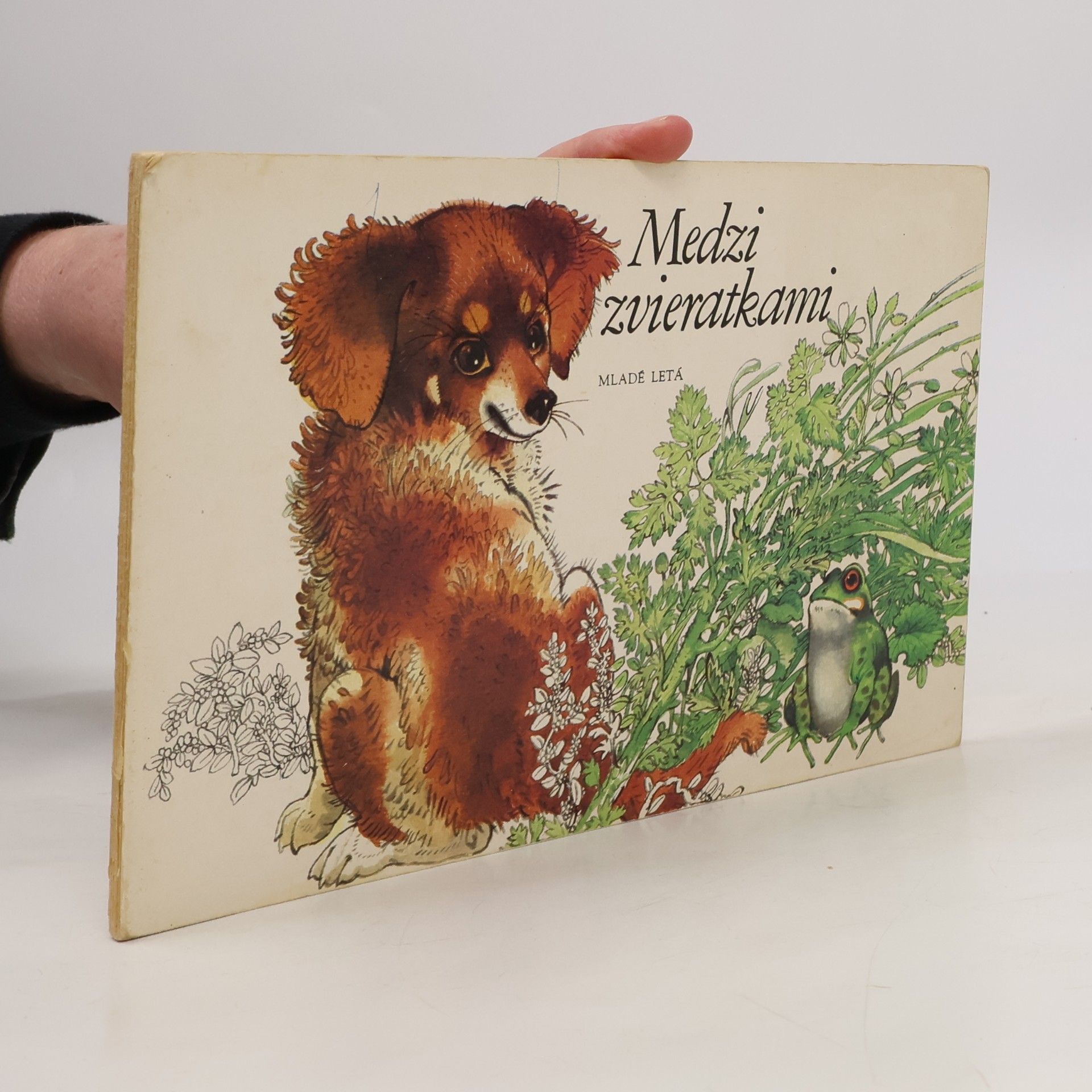 Medzi zvieratkami
