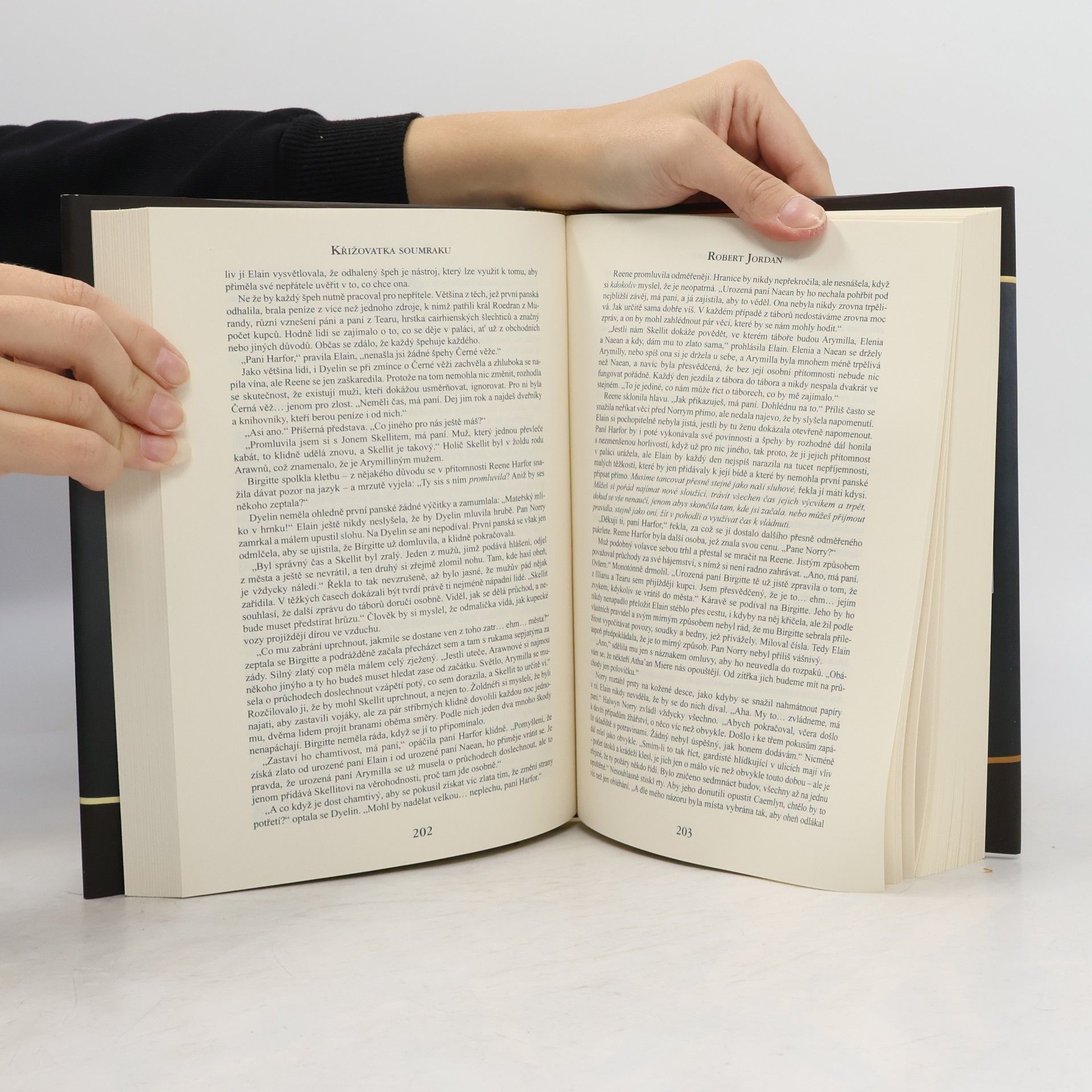 Robert Jordan Kolo času 10. Křižovatka soumraku
