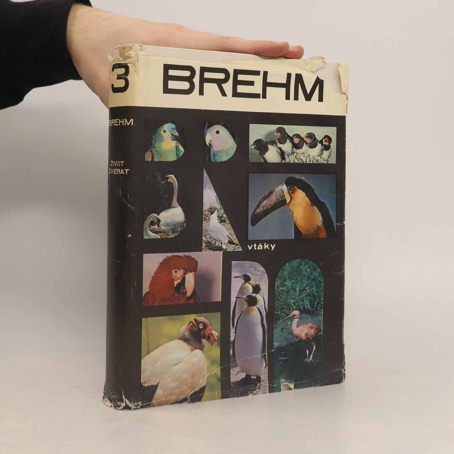 Alfred Edmund Brehm Život zvierat 3. Vtáky